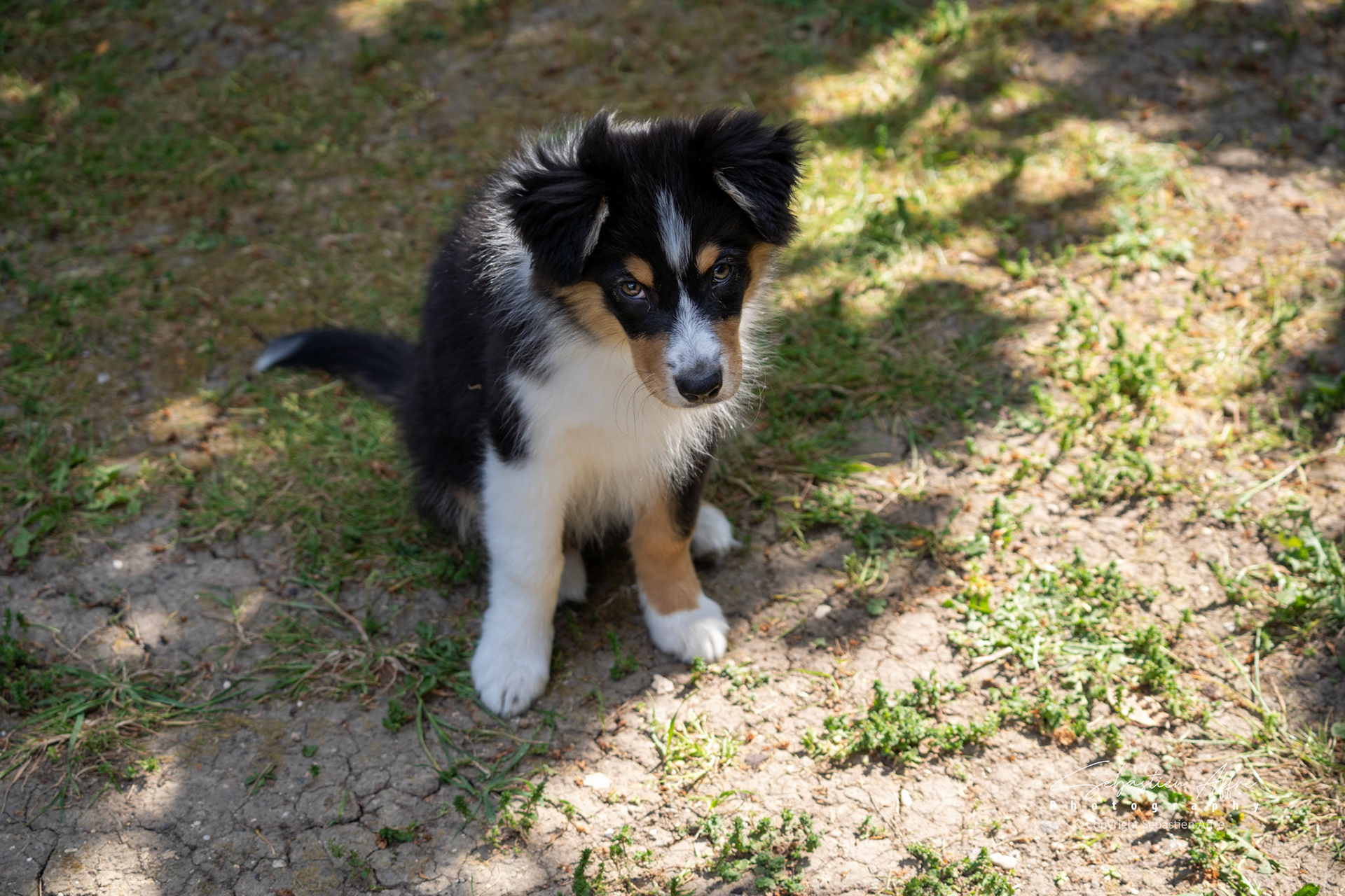 3 Mois