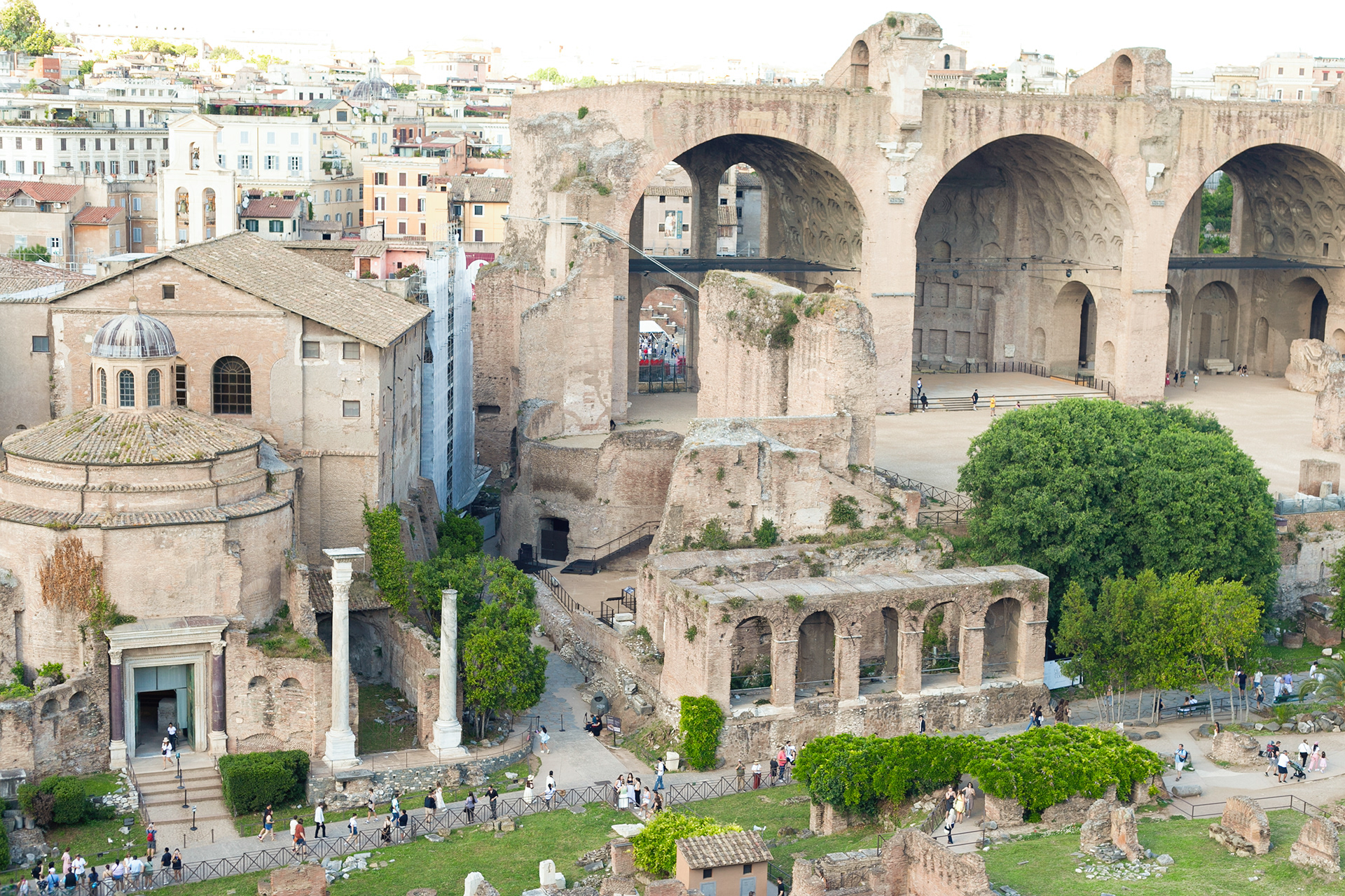 Temple of Romulus (left), Basilica of Maxentius (right)