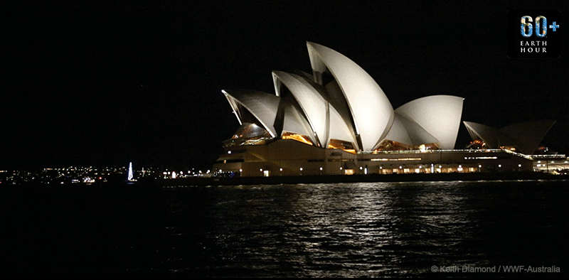 GIF creation for  Mailchimp banner