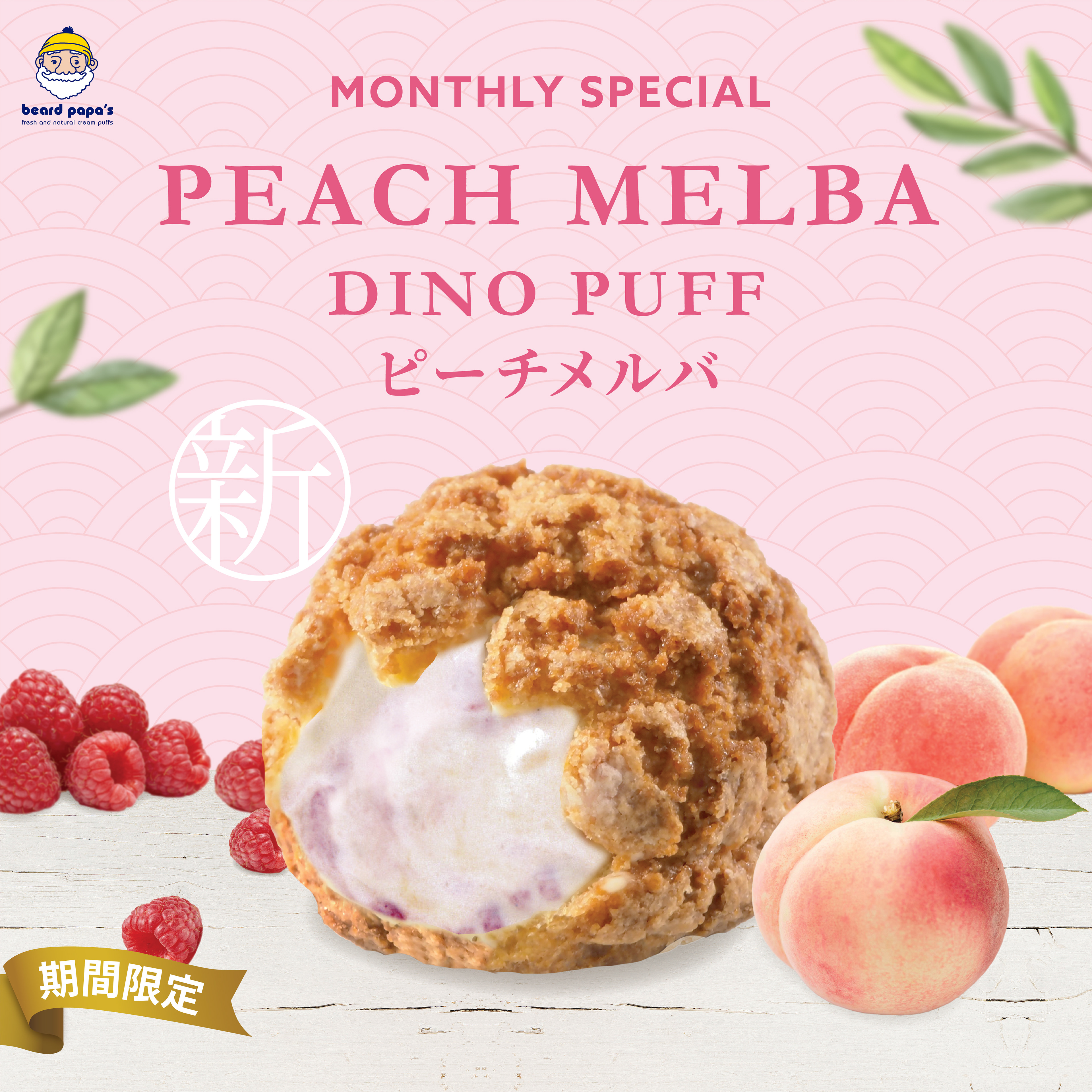 Social Media Content Creation