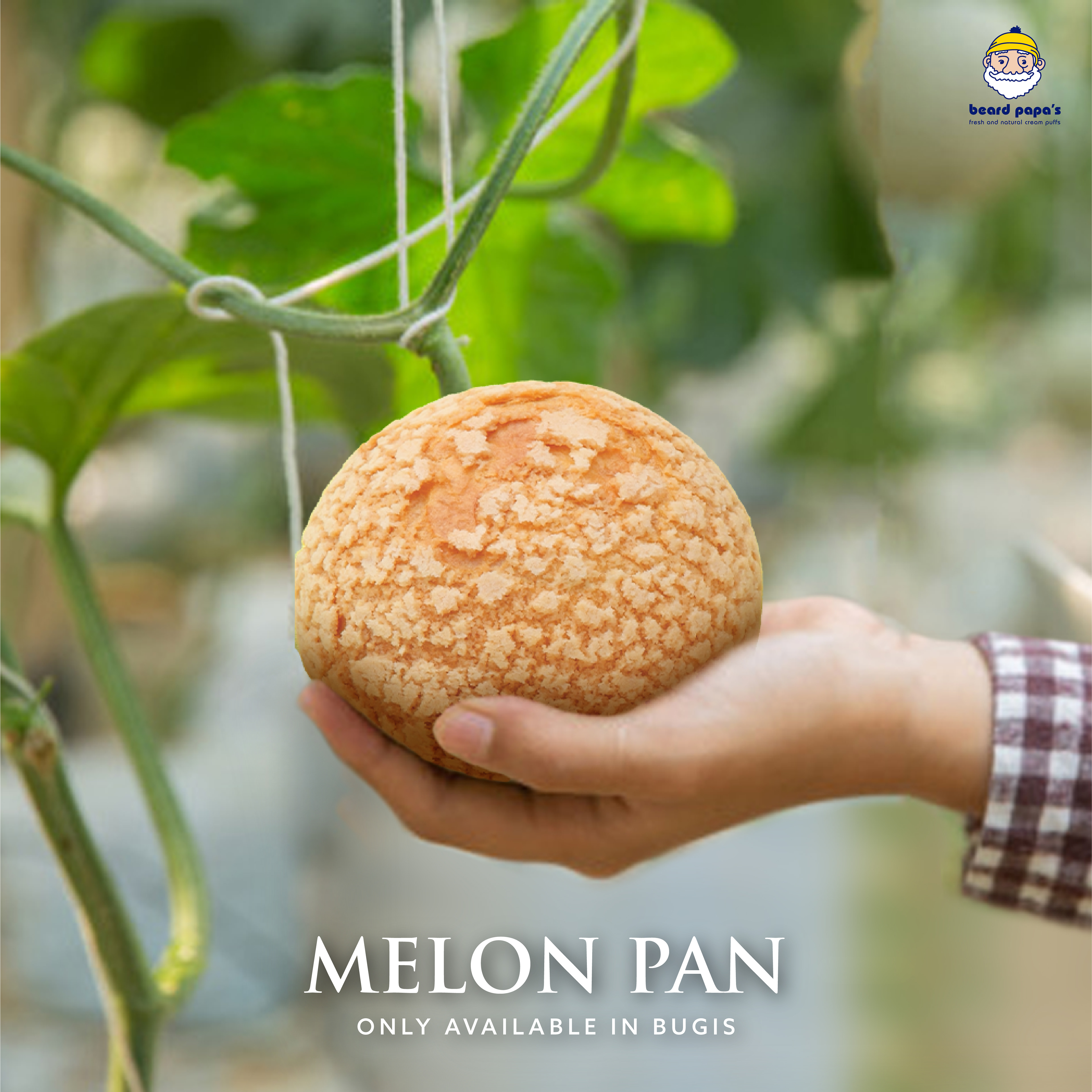 Social Media Content Creation