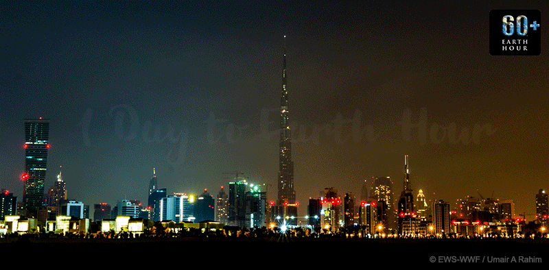 GIF creation for  Mailchimp banner