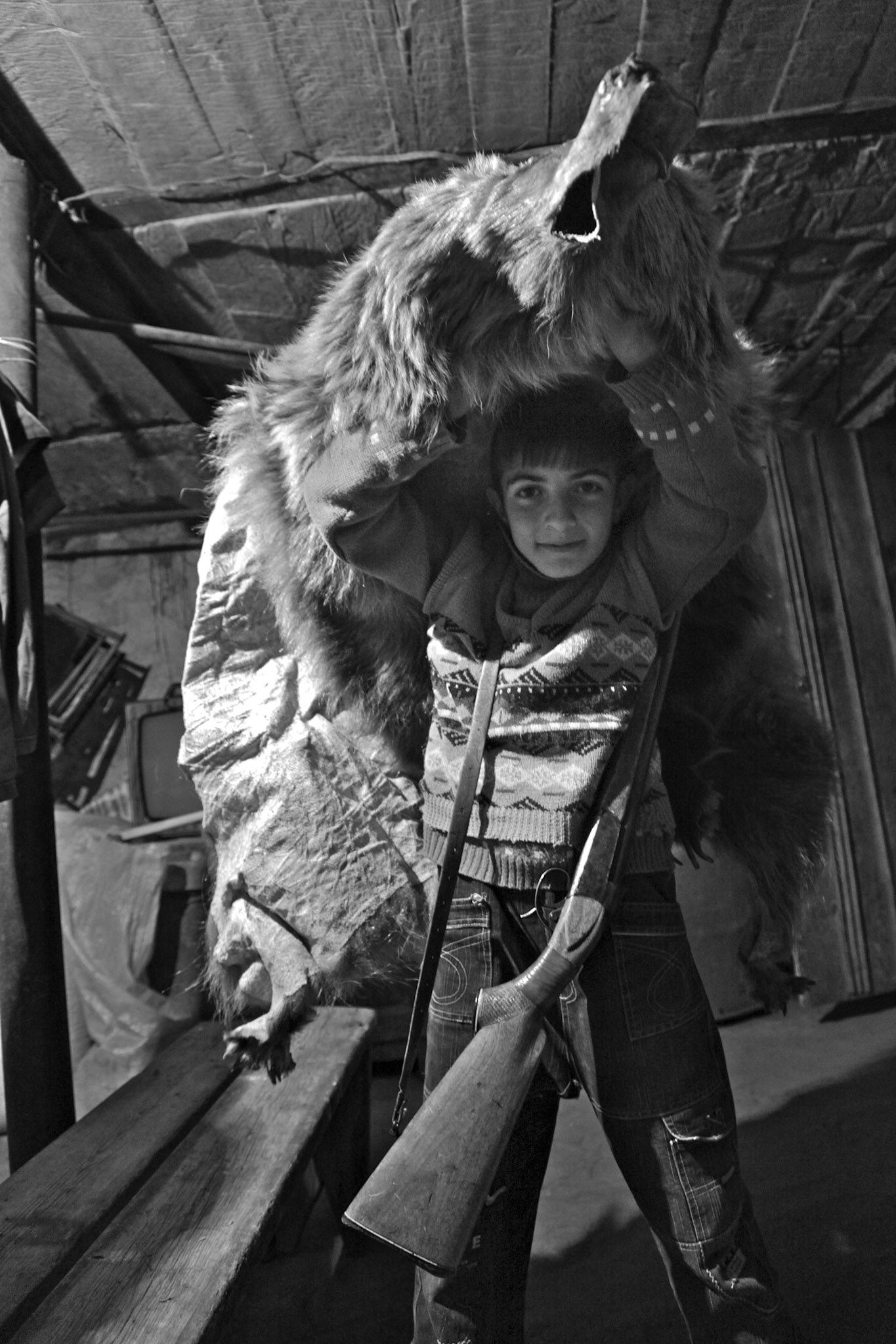 Tigran the bear