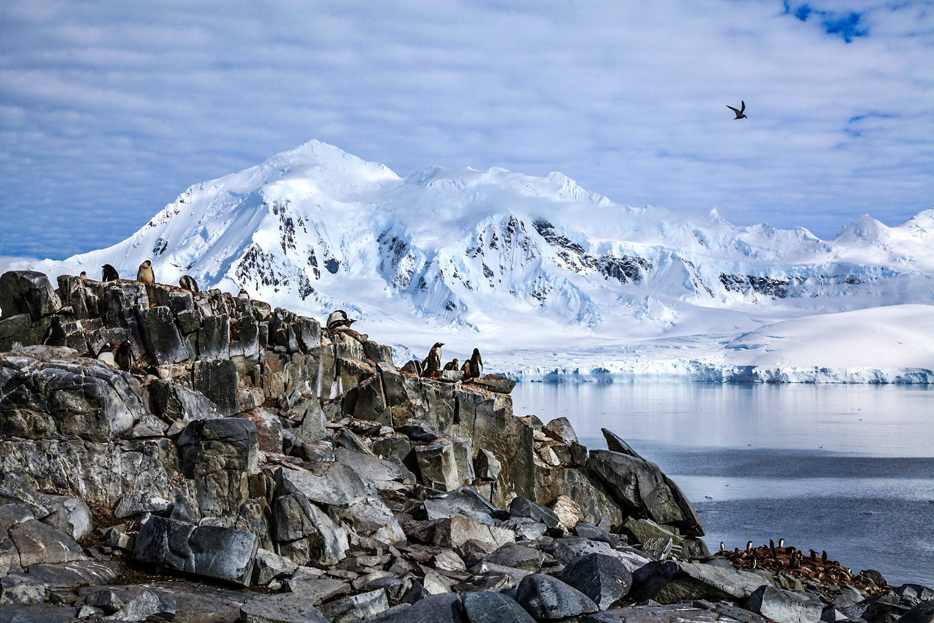 Polar landscape