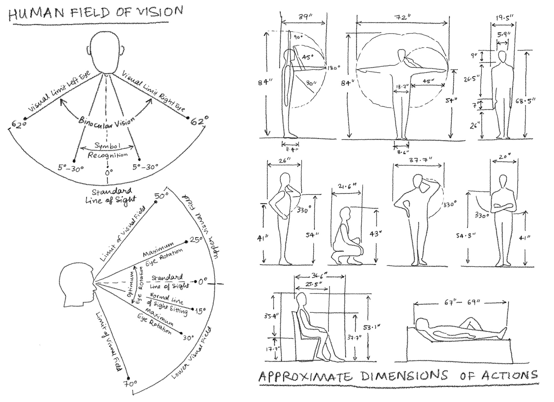 Sketching references of approximate field of vision and action dimensions