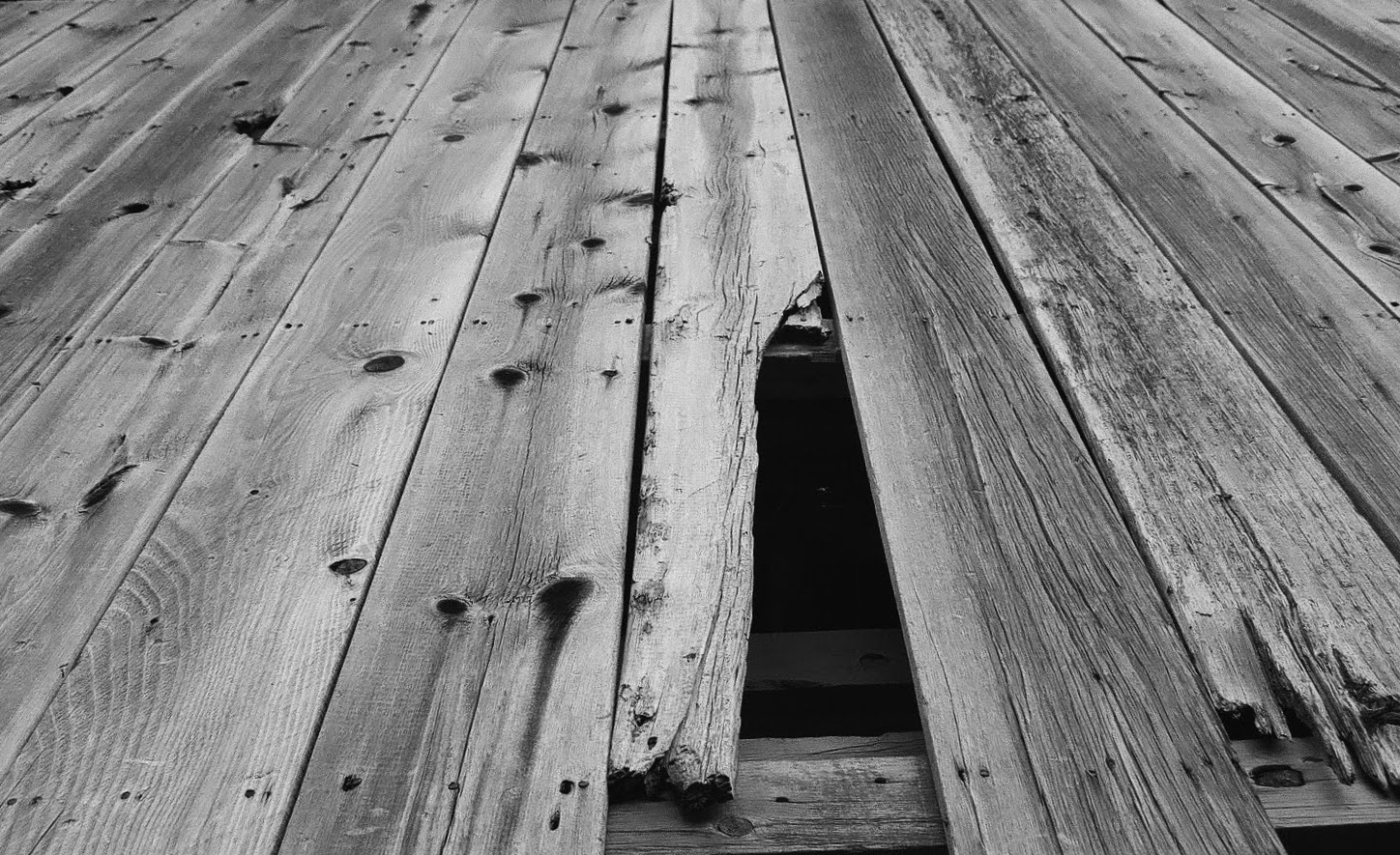 Wooden Walls: 2017, Shelburne, Vermont, B&W Film