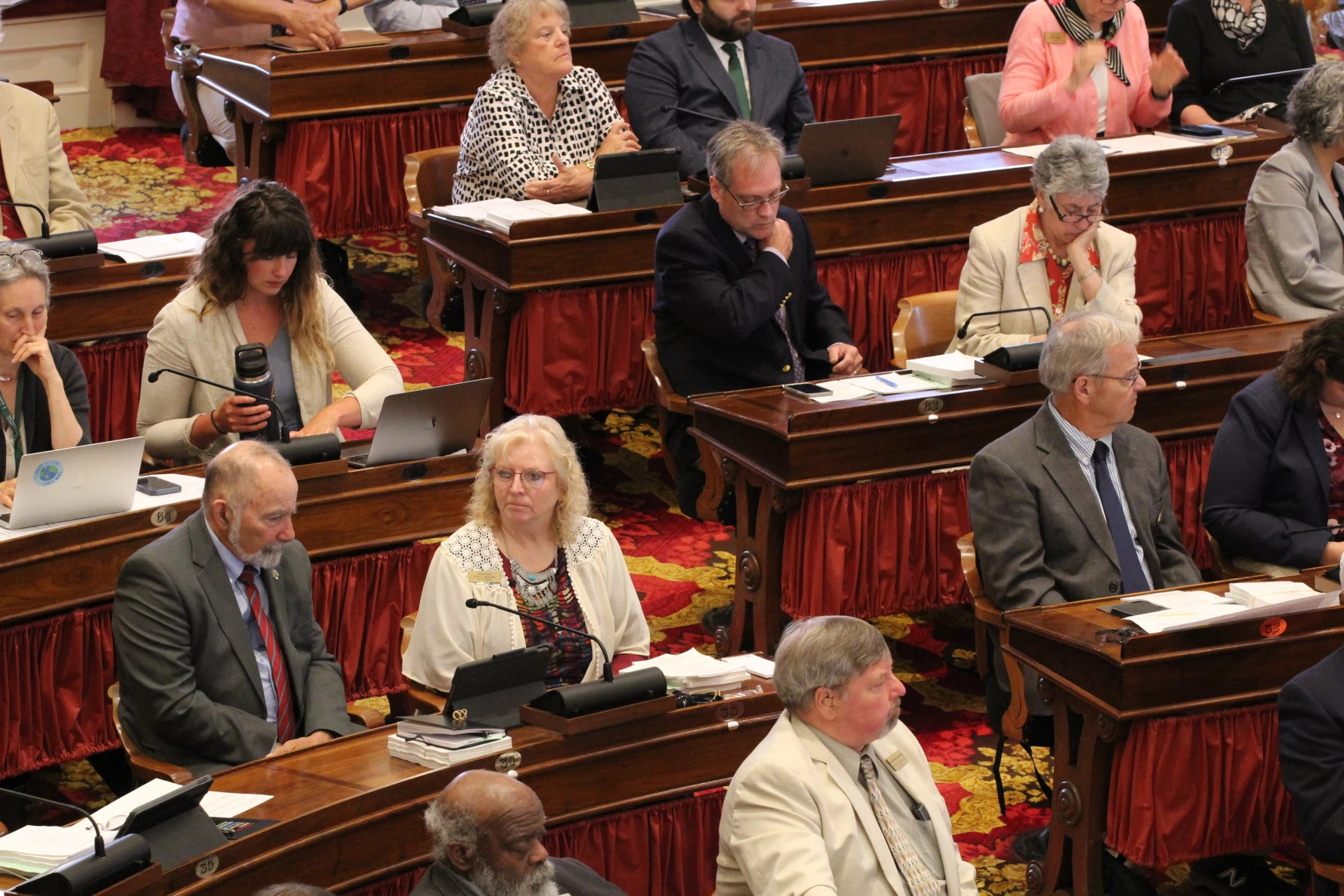 Lawmakers participate in the veto session on Tuesday, June 20, 2023 (Lia Chien/Vermont Public)