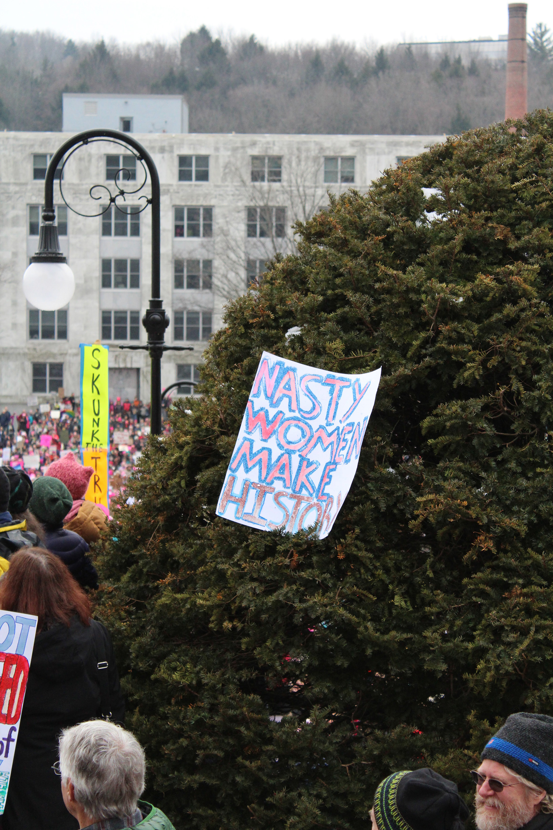 A sign is laid on a bush on the State Capitol lawn in Montpelier, Vt. at the Women's March on January 21, 2017. (Lia Chien)