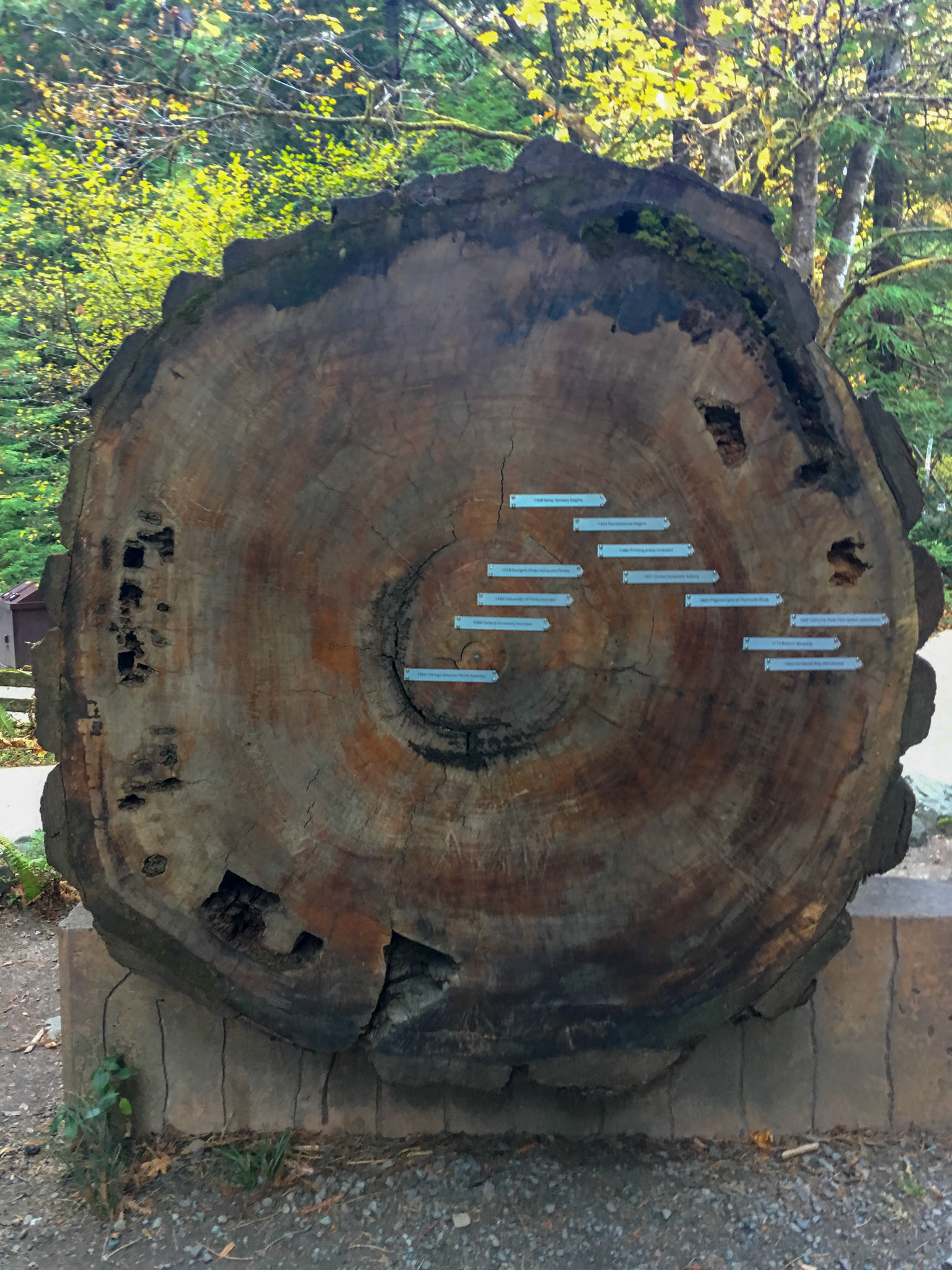I recommend zooming in: history in a tree