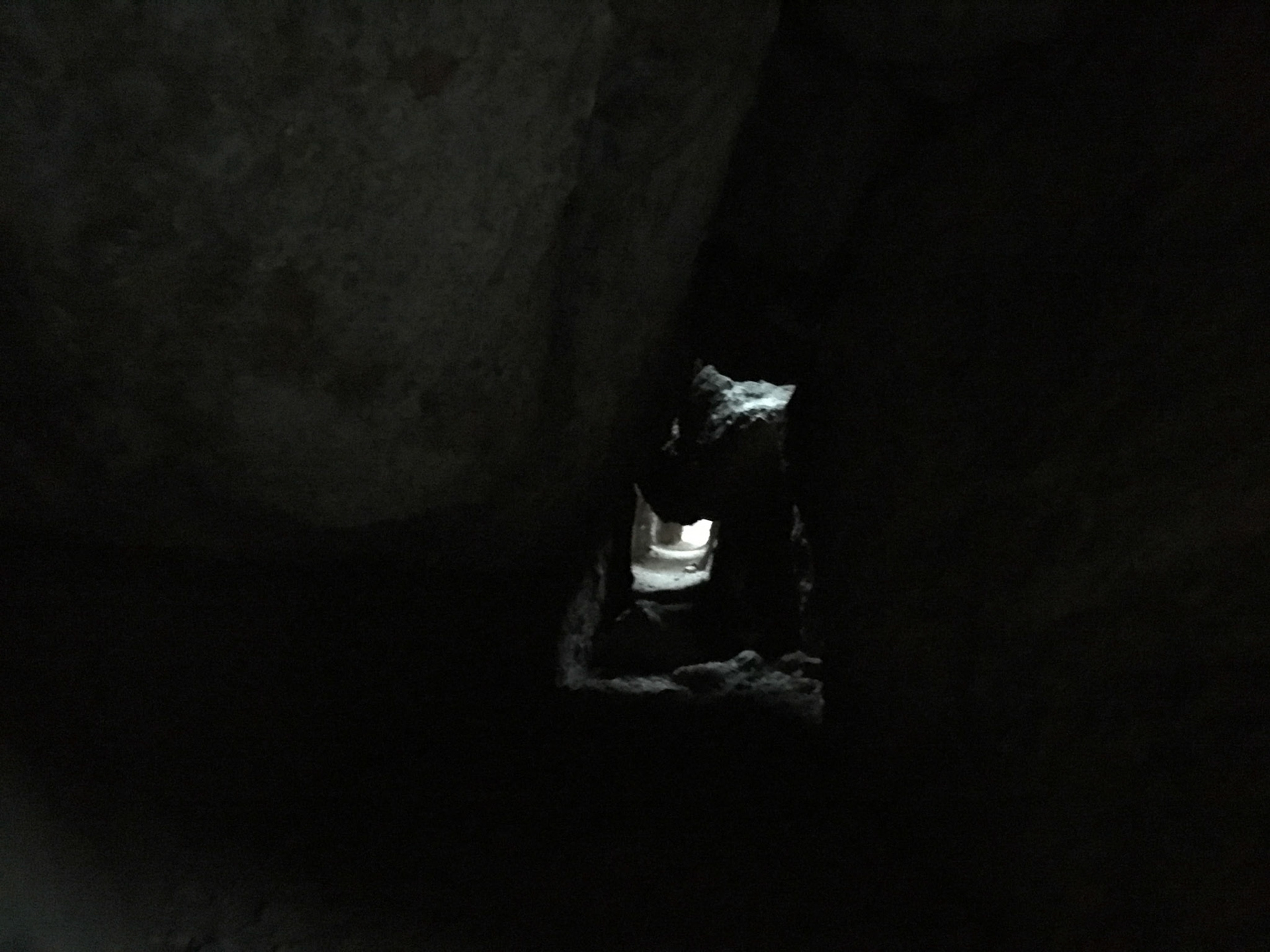 The bring torchlight sign was not for fun (yup, I forgot)