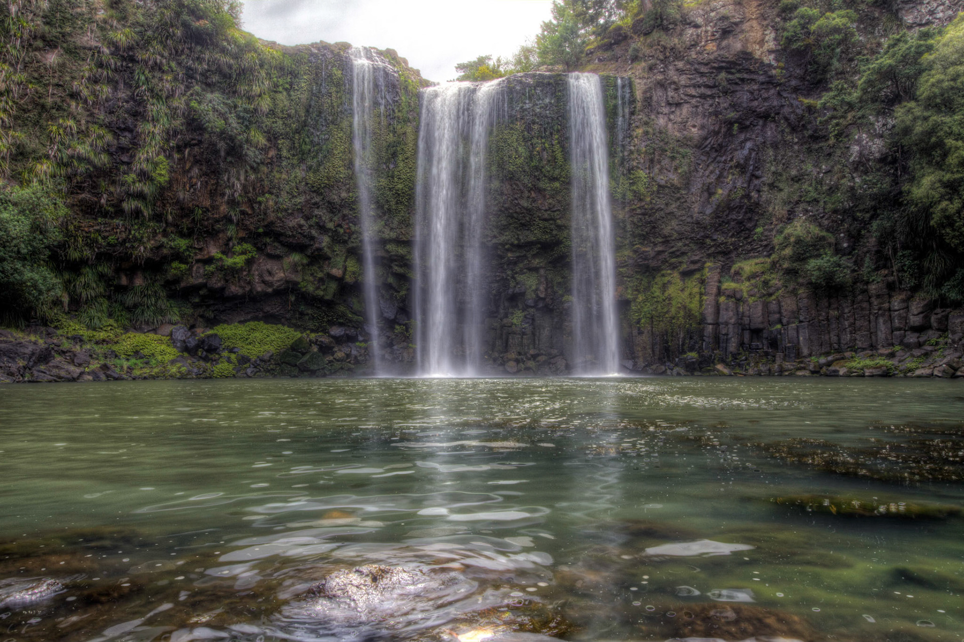 Whangarei Falls