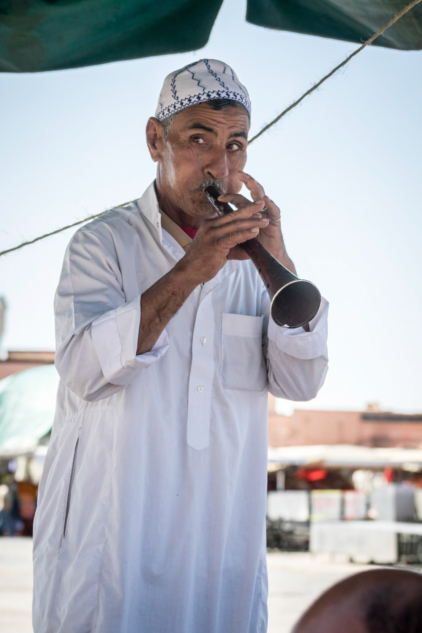 Snake Charmer