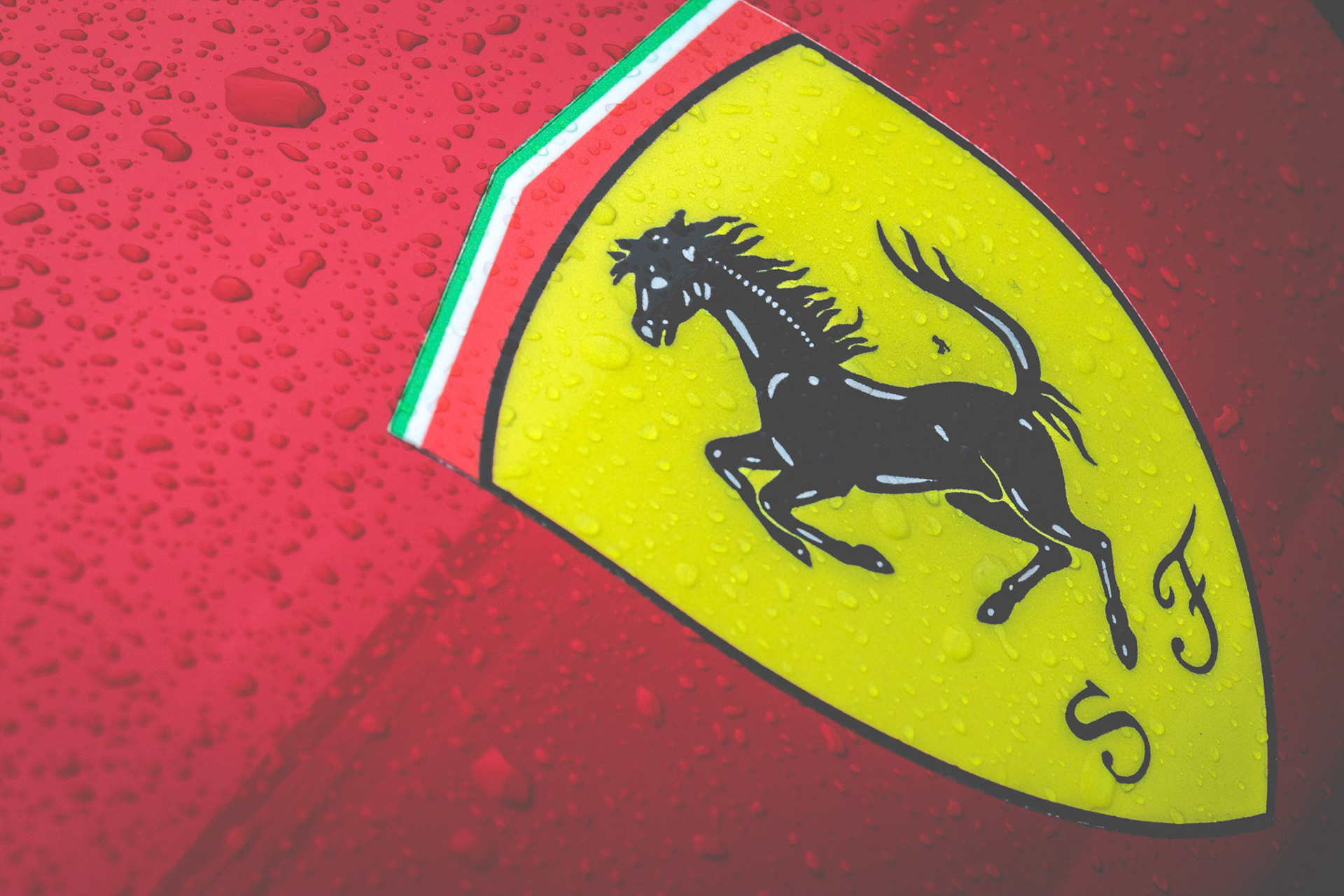 Prancing Horse