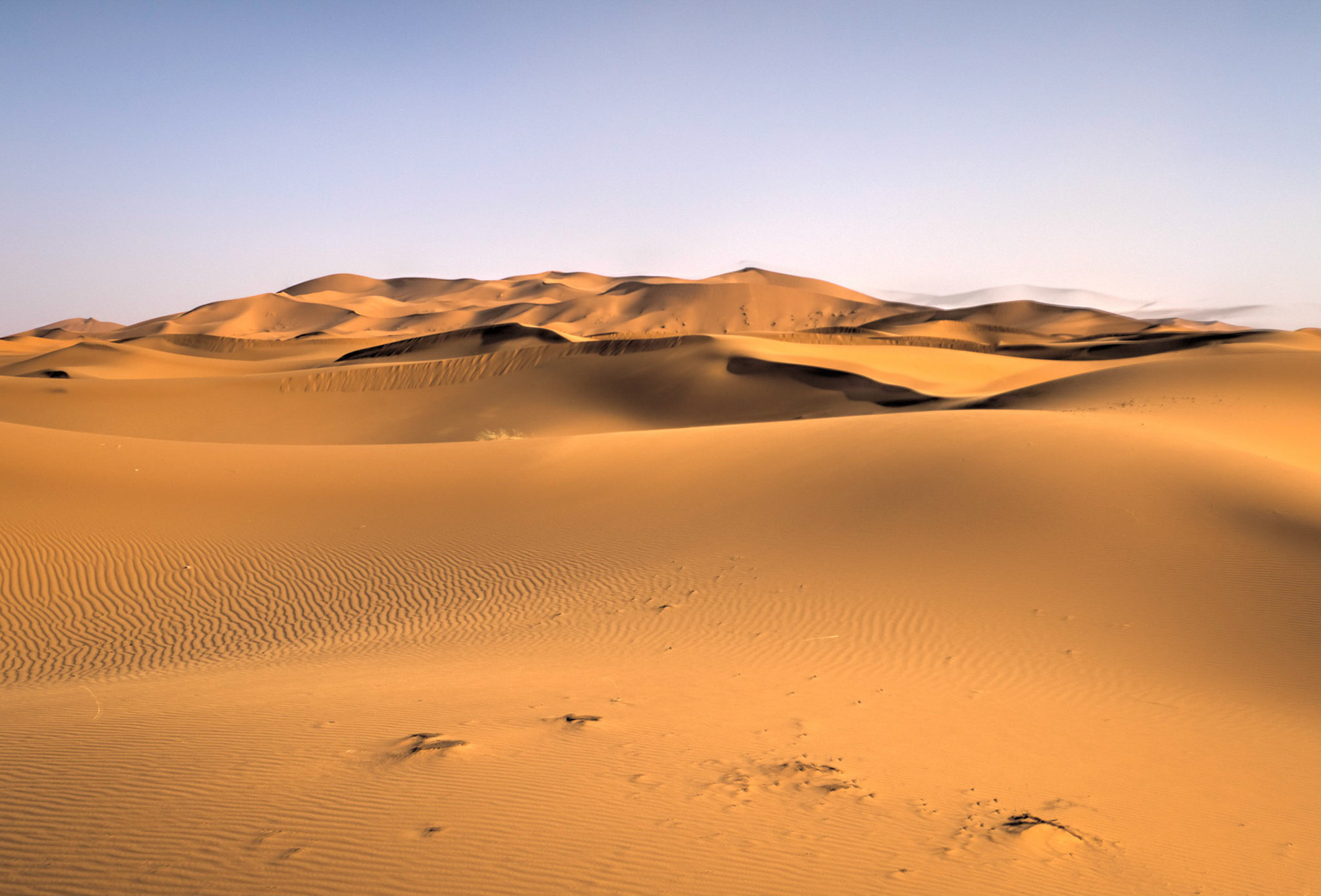 Golden Sands