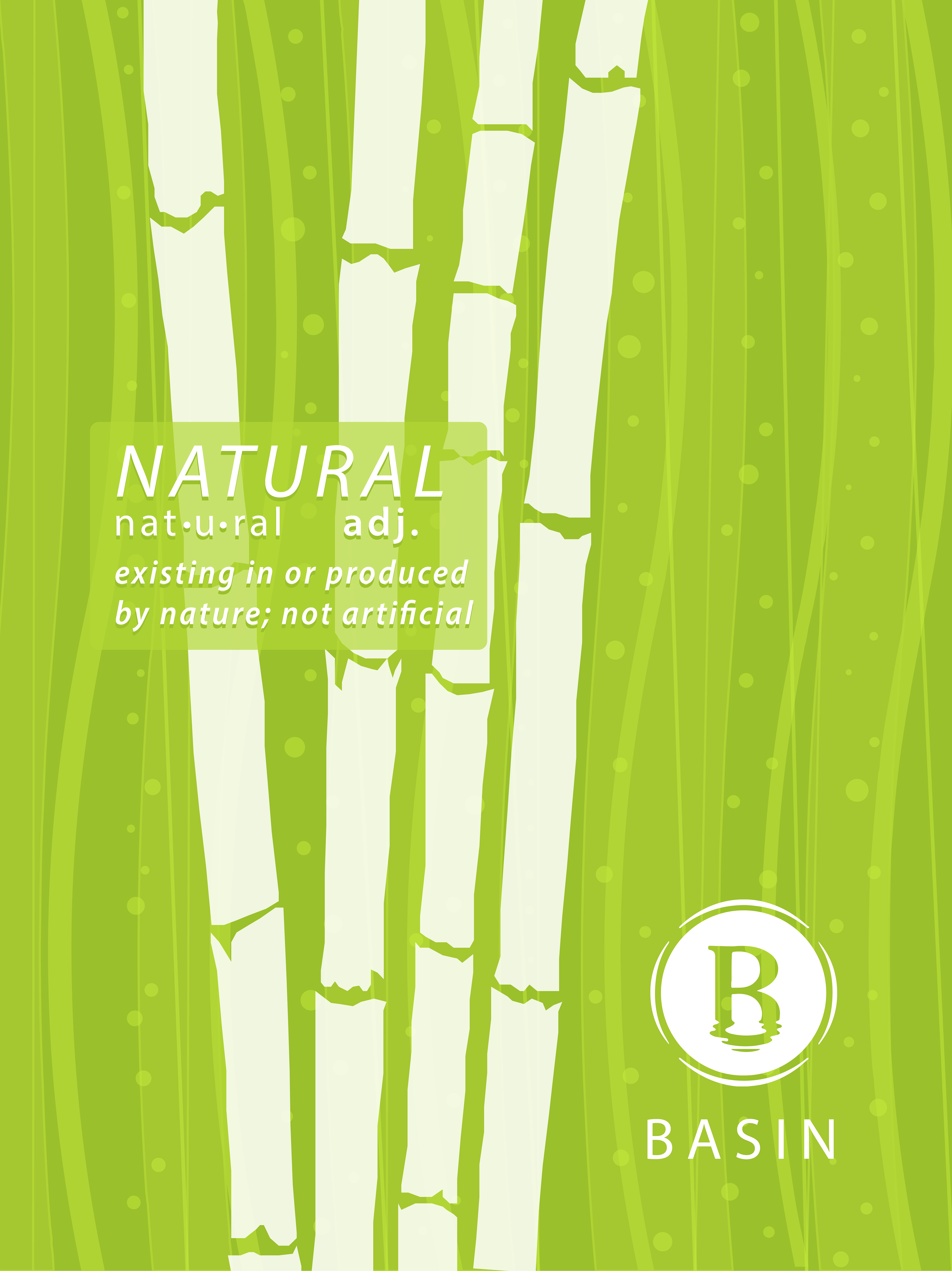 Basin Natural Store Poster 2020