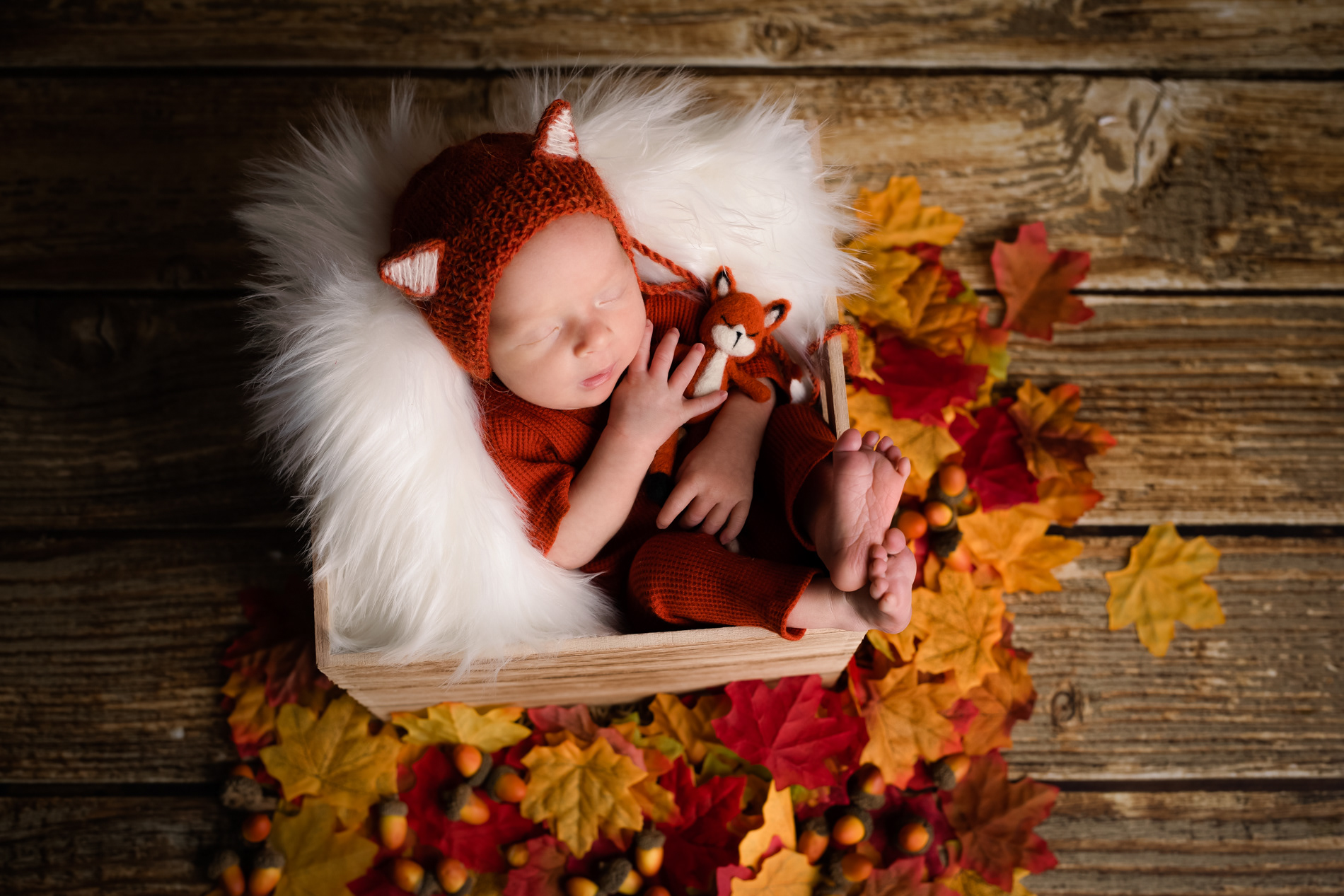 Simon, le petit renard d'automne