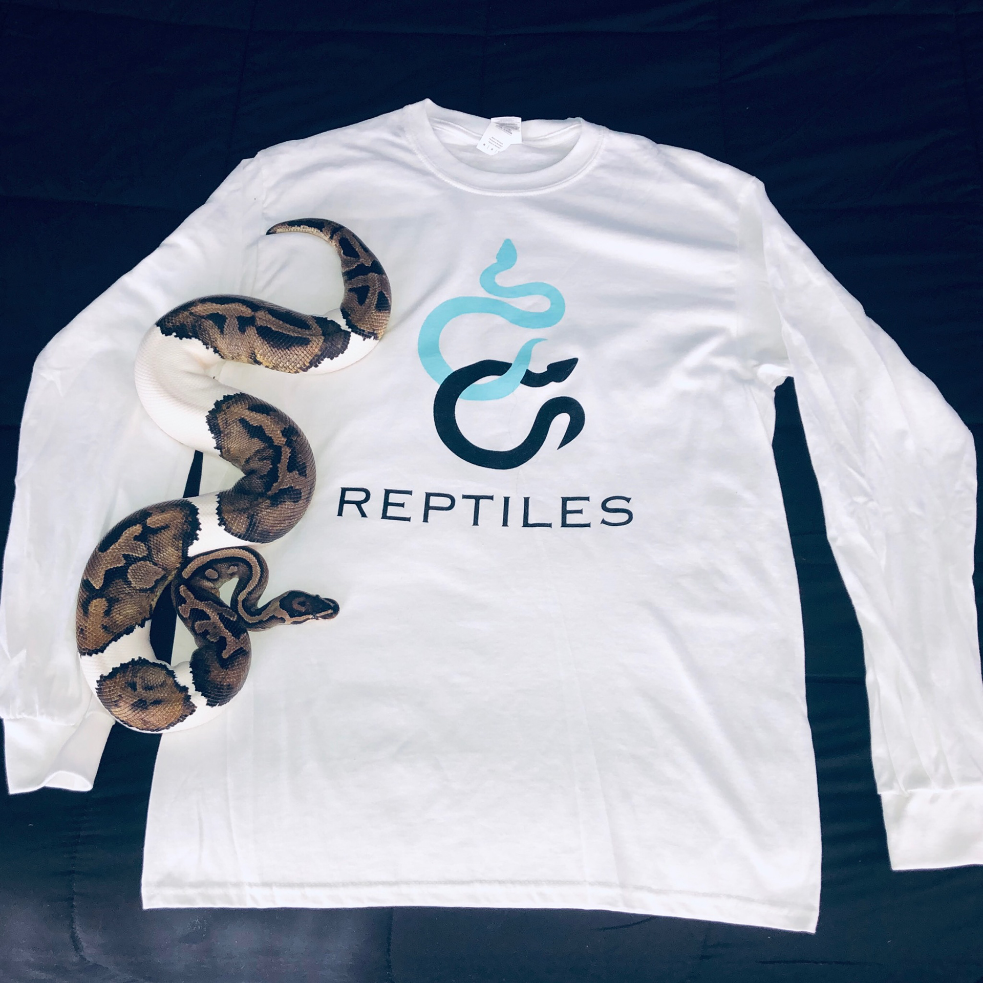 T-Shirt Design