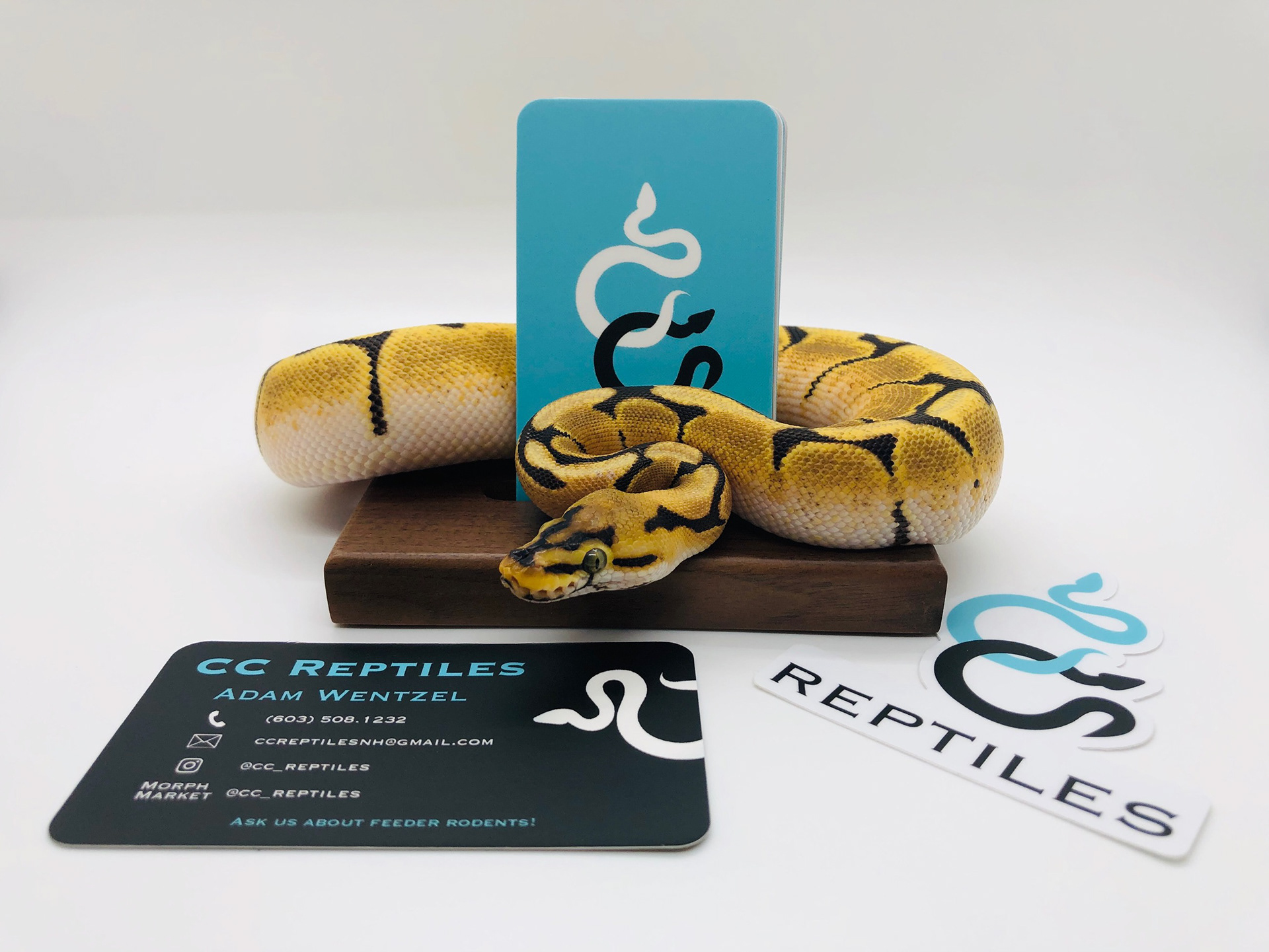 Business Cards
