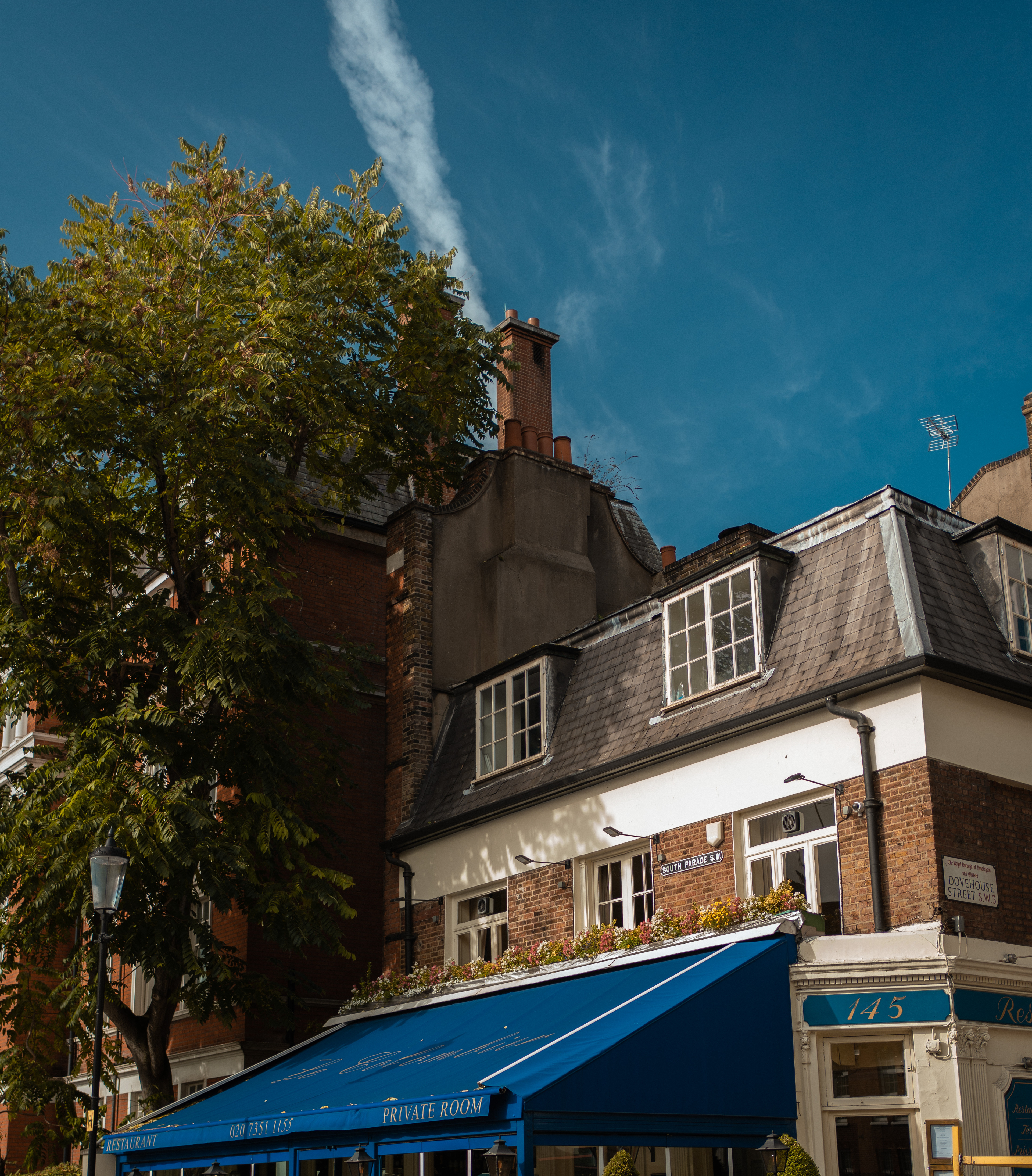 Regency Blue - West London