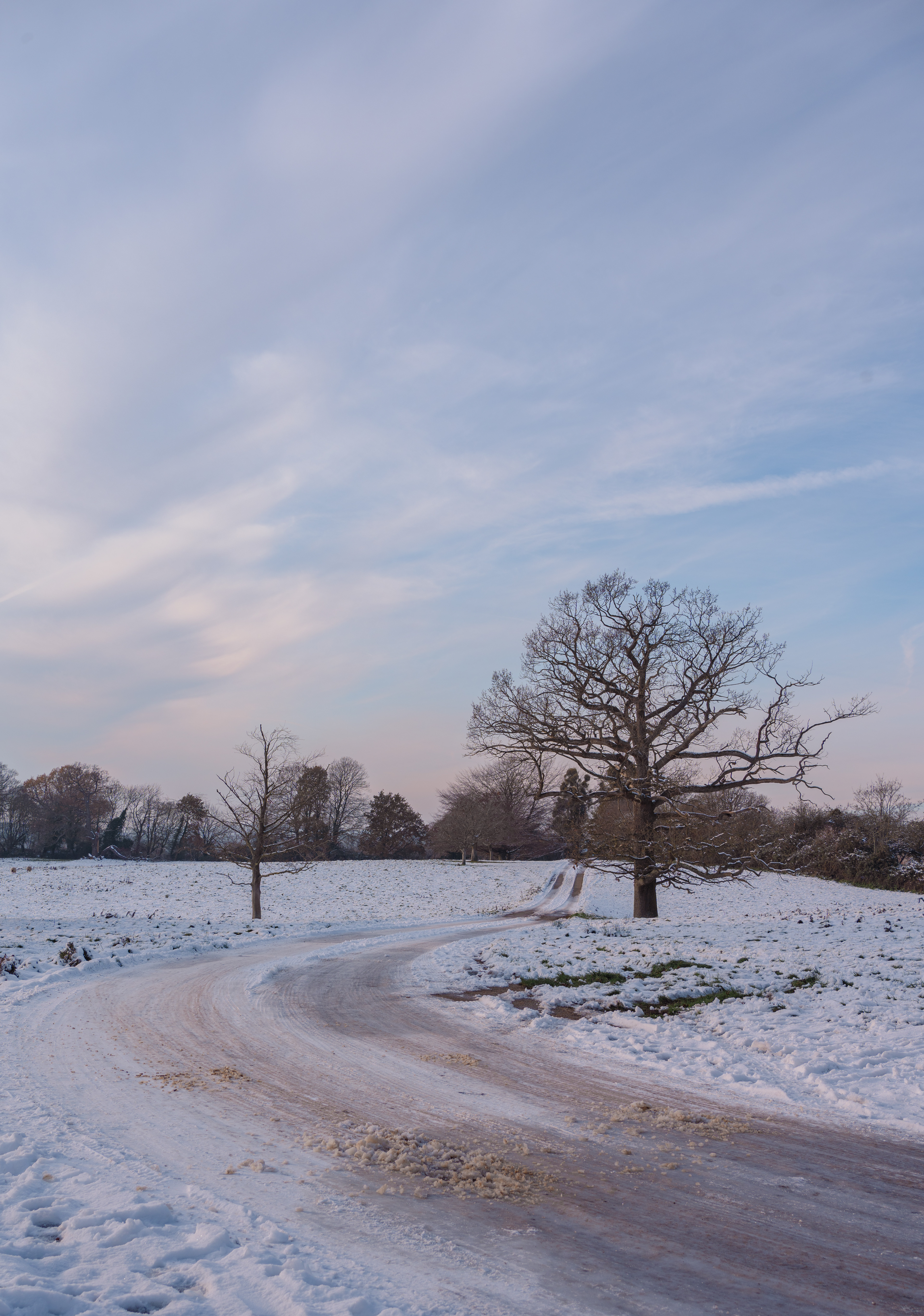 Meandering Tracks in the Snow - Kent