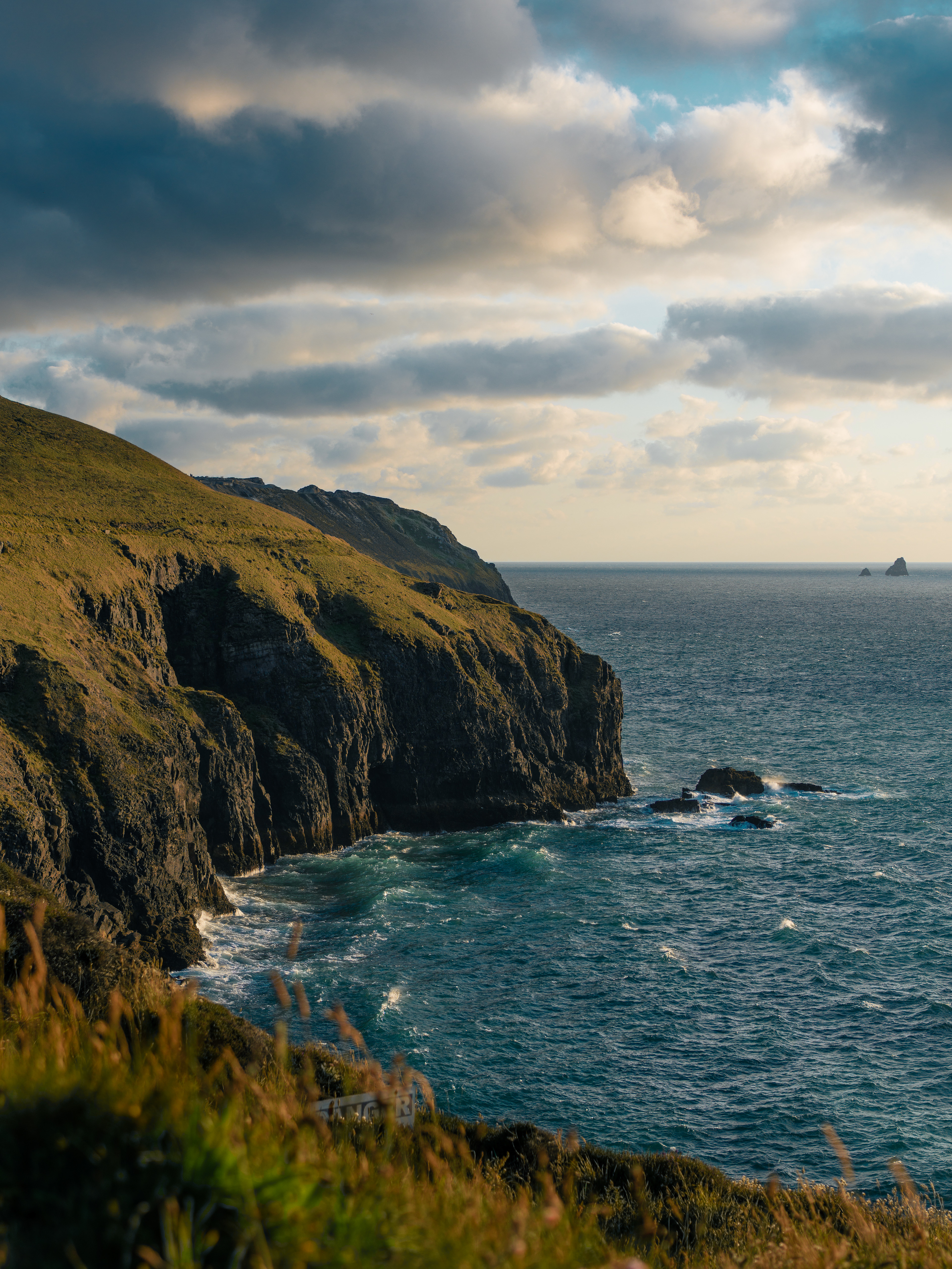 Spot for a Seabird - Cornwall