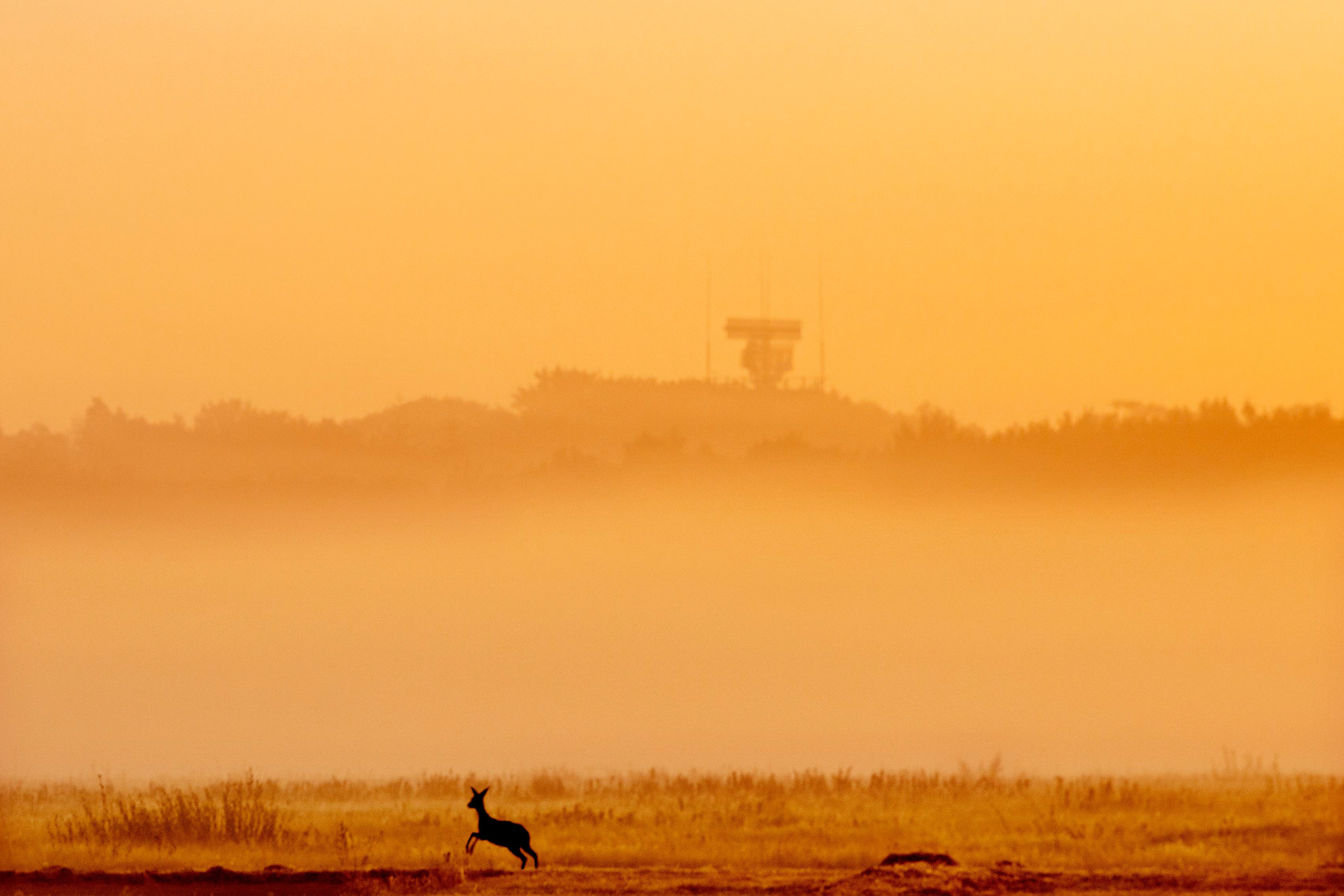 Twente Airport