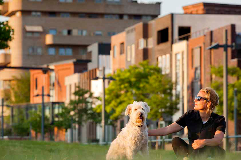 Roombeek