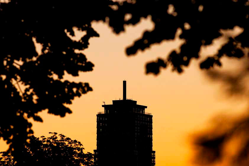Alphatoren