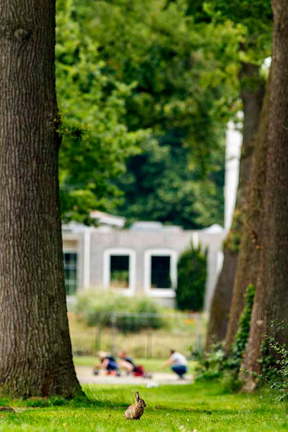 Volkspark Enschede
