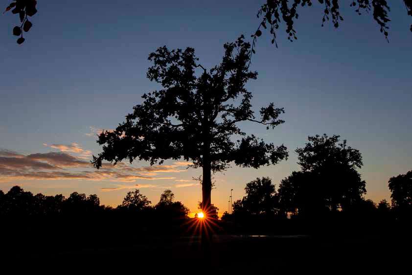 Volkspark Enschede