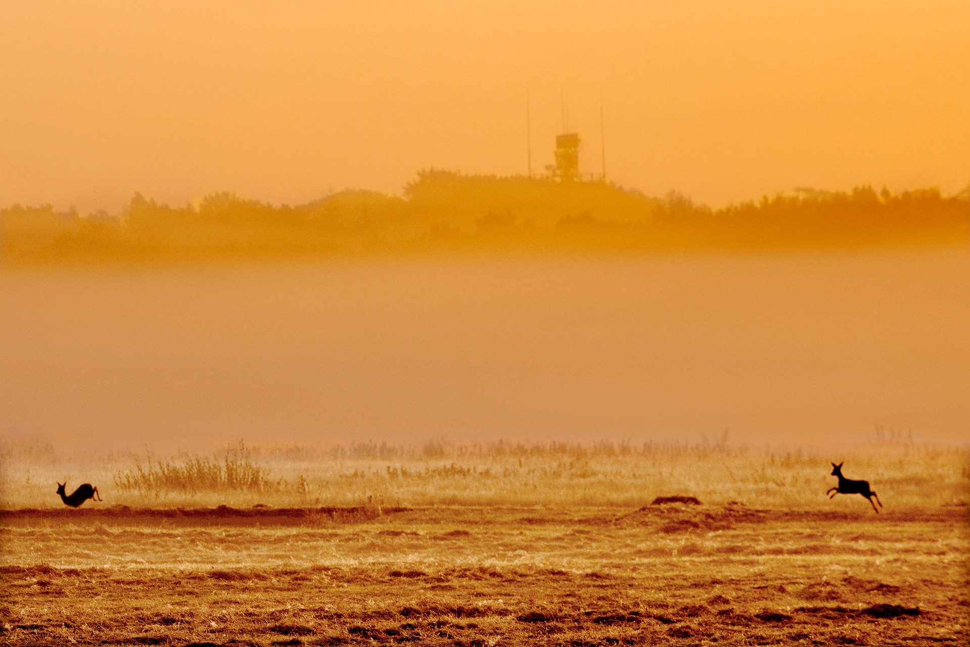 Twente Airport