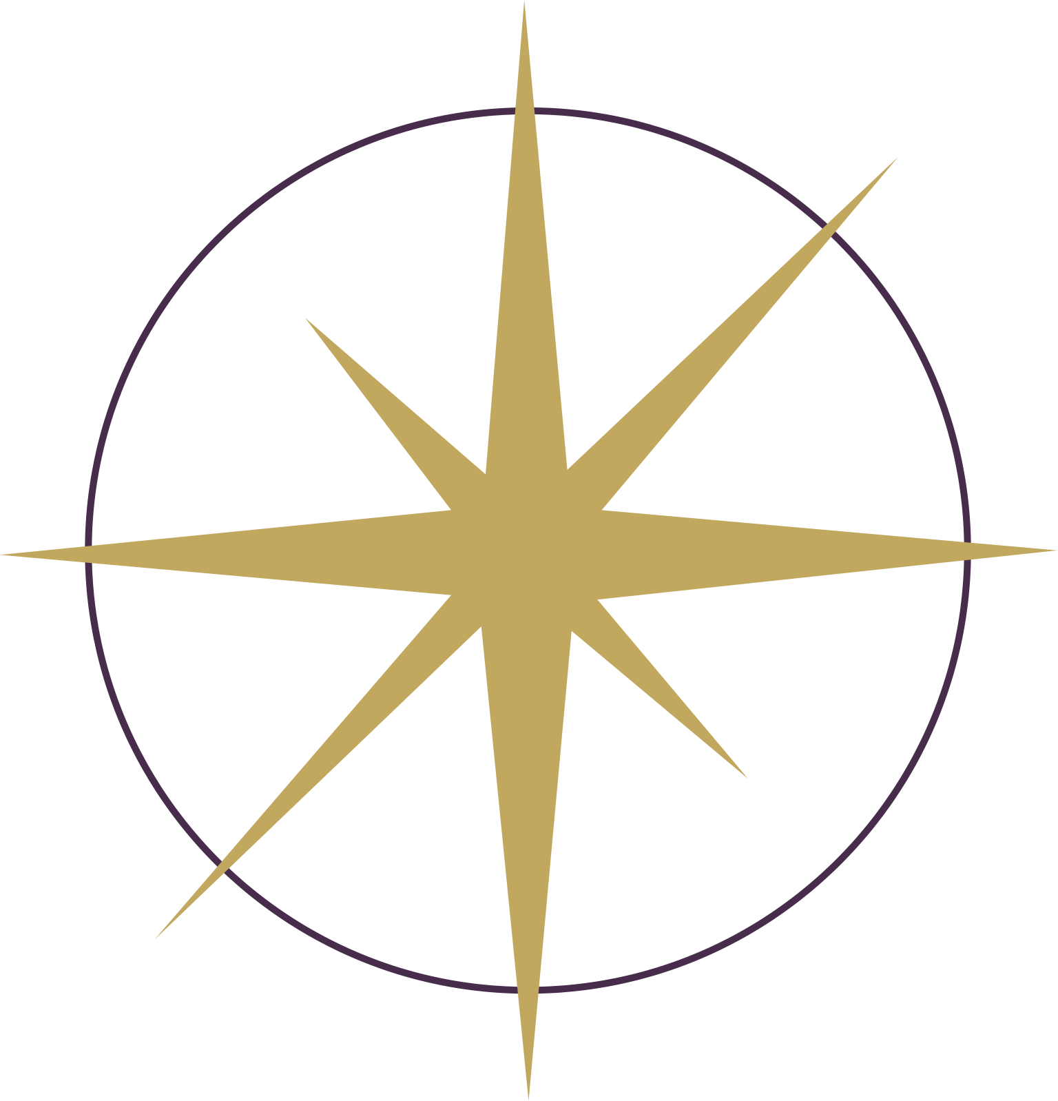 Luminary Co.