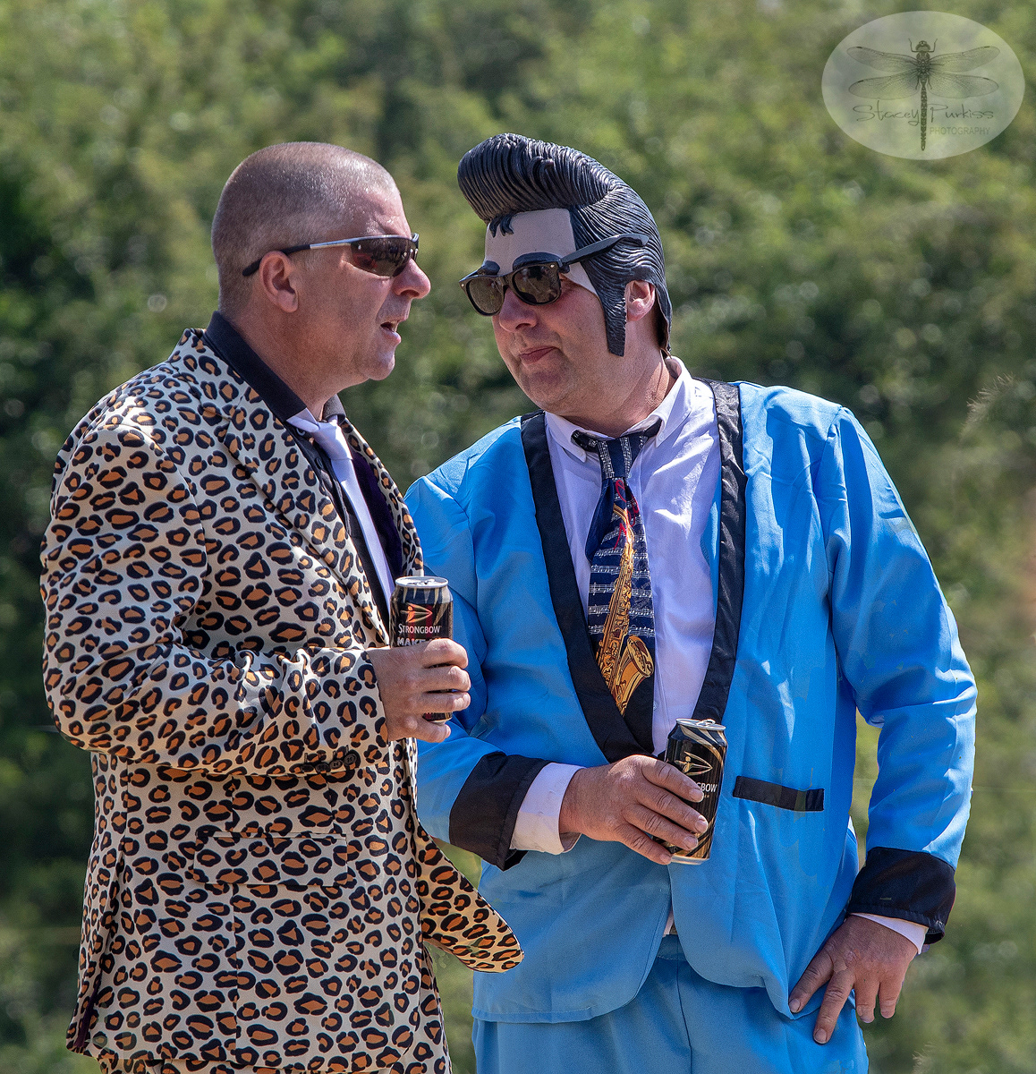 Cool cats