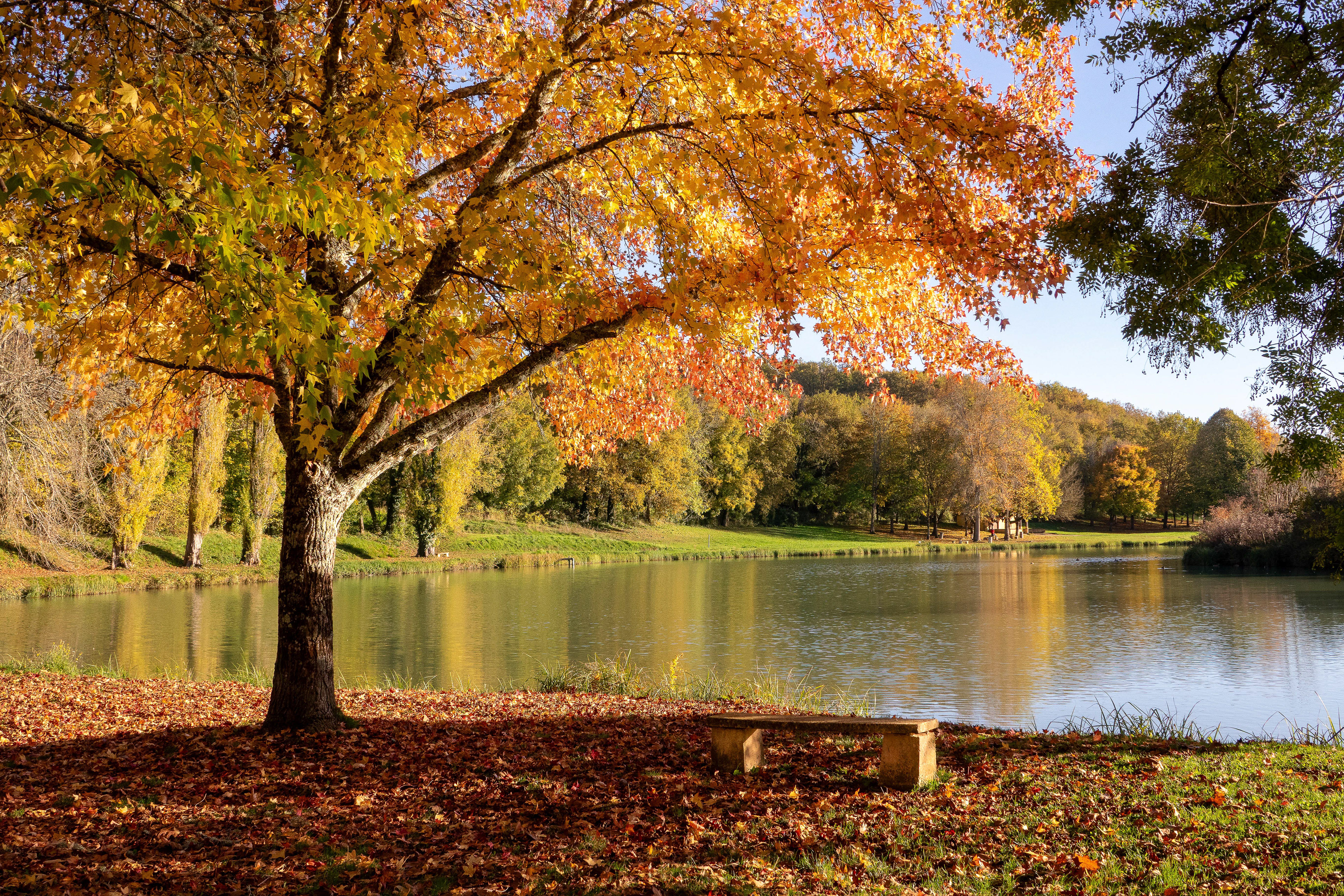 Lac de Lanquais