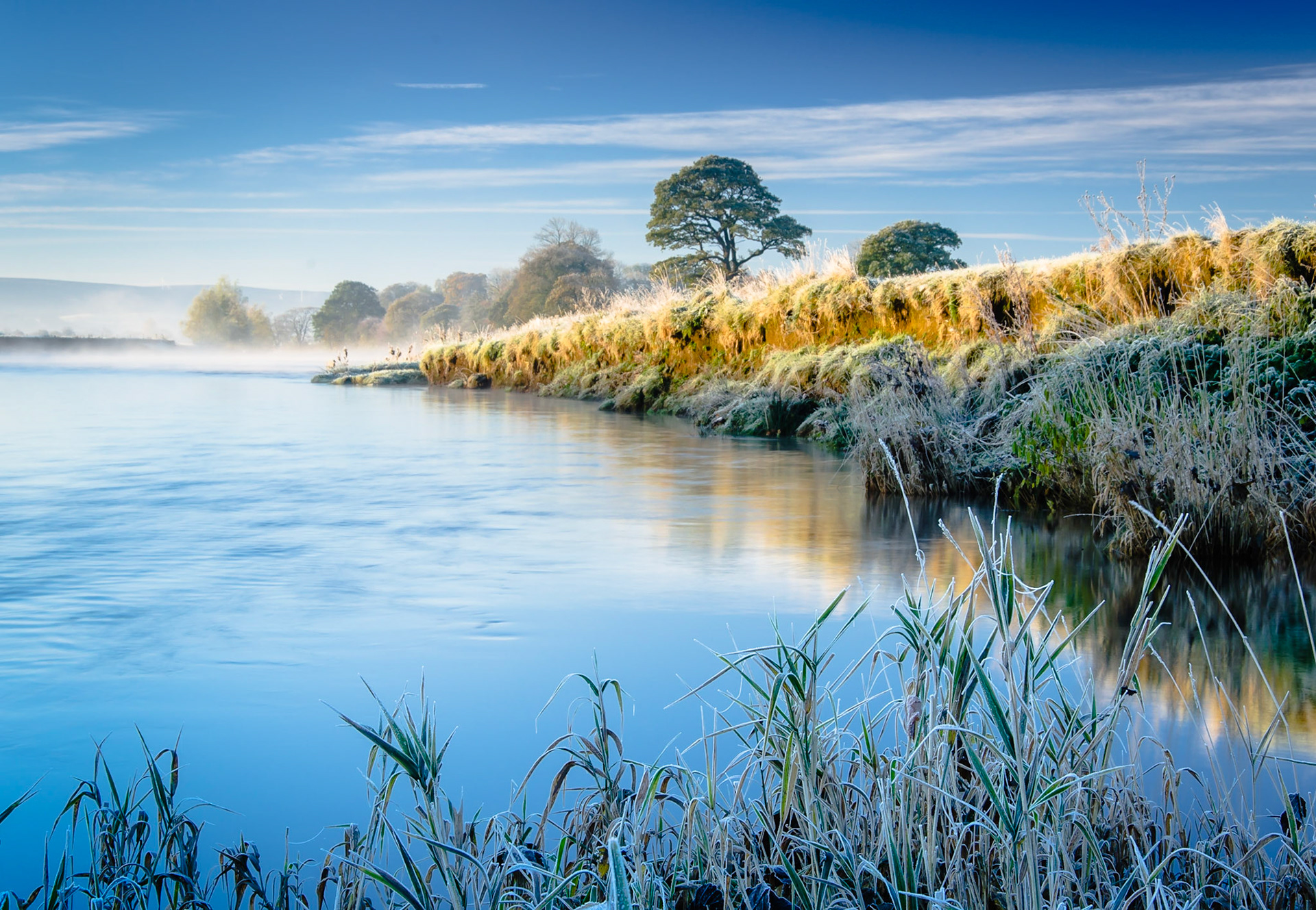 The Blue Lune