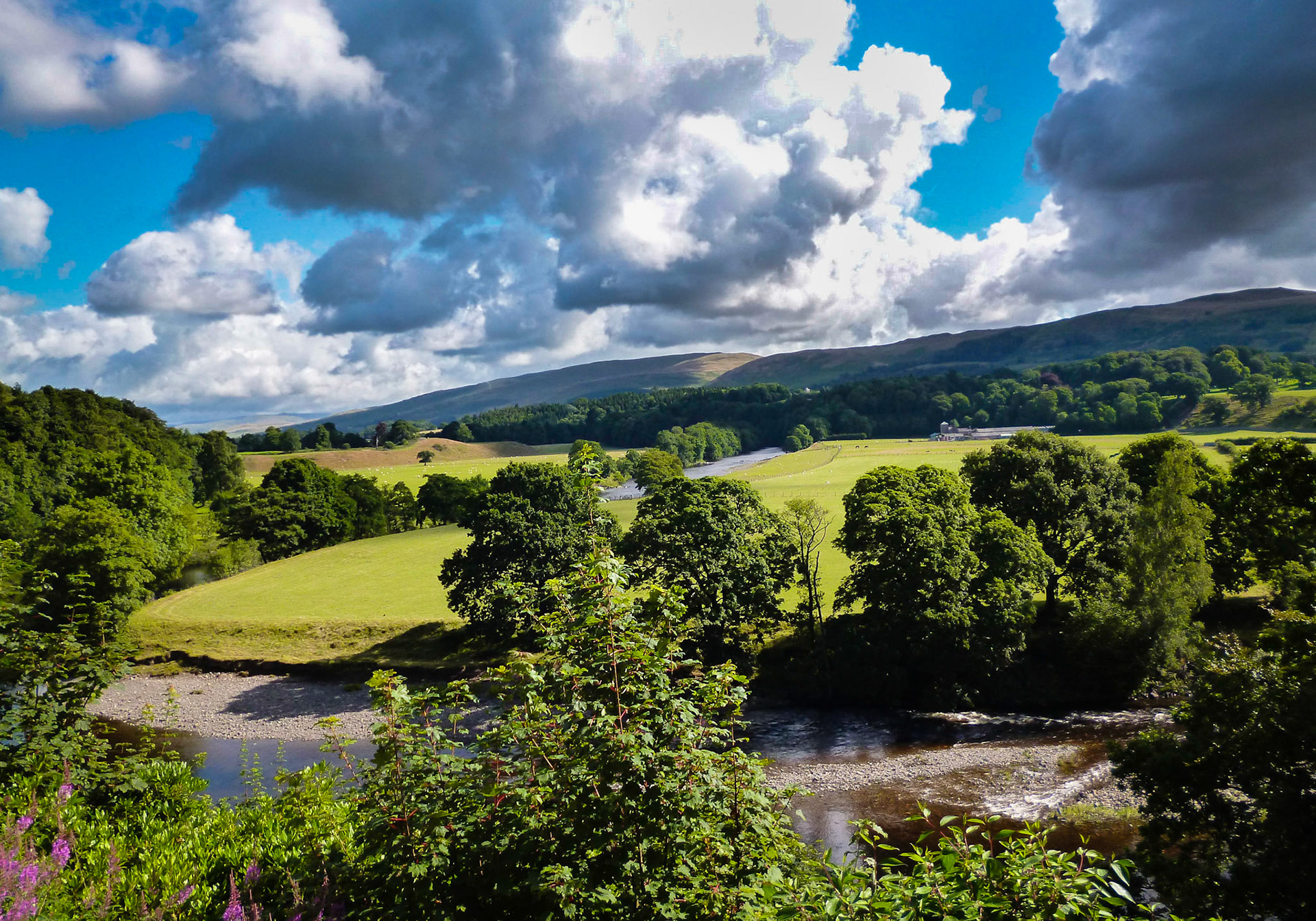 Ruskin's View