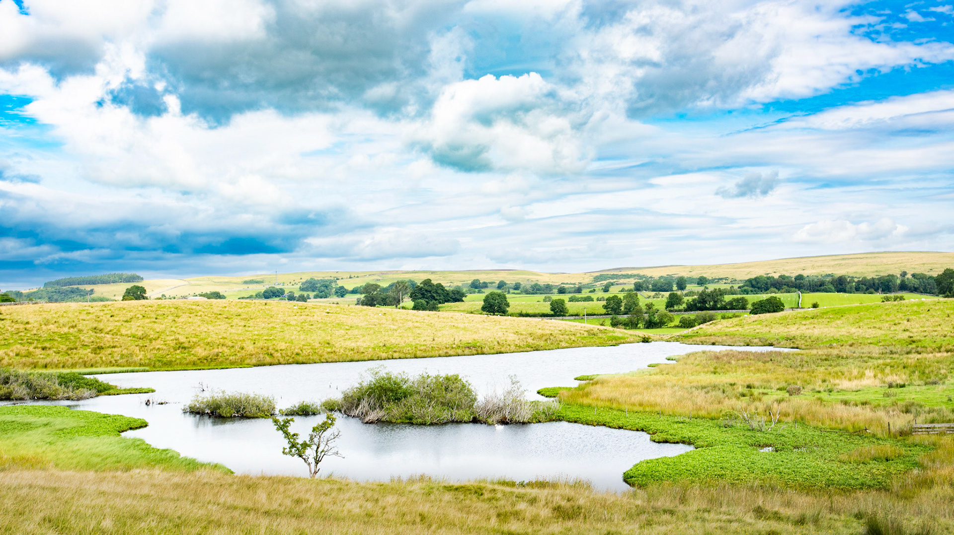 Paradise Tarn