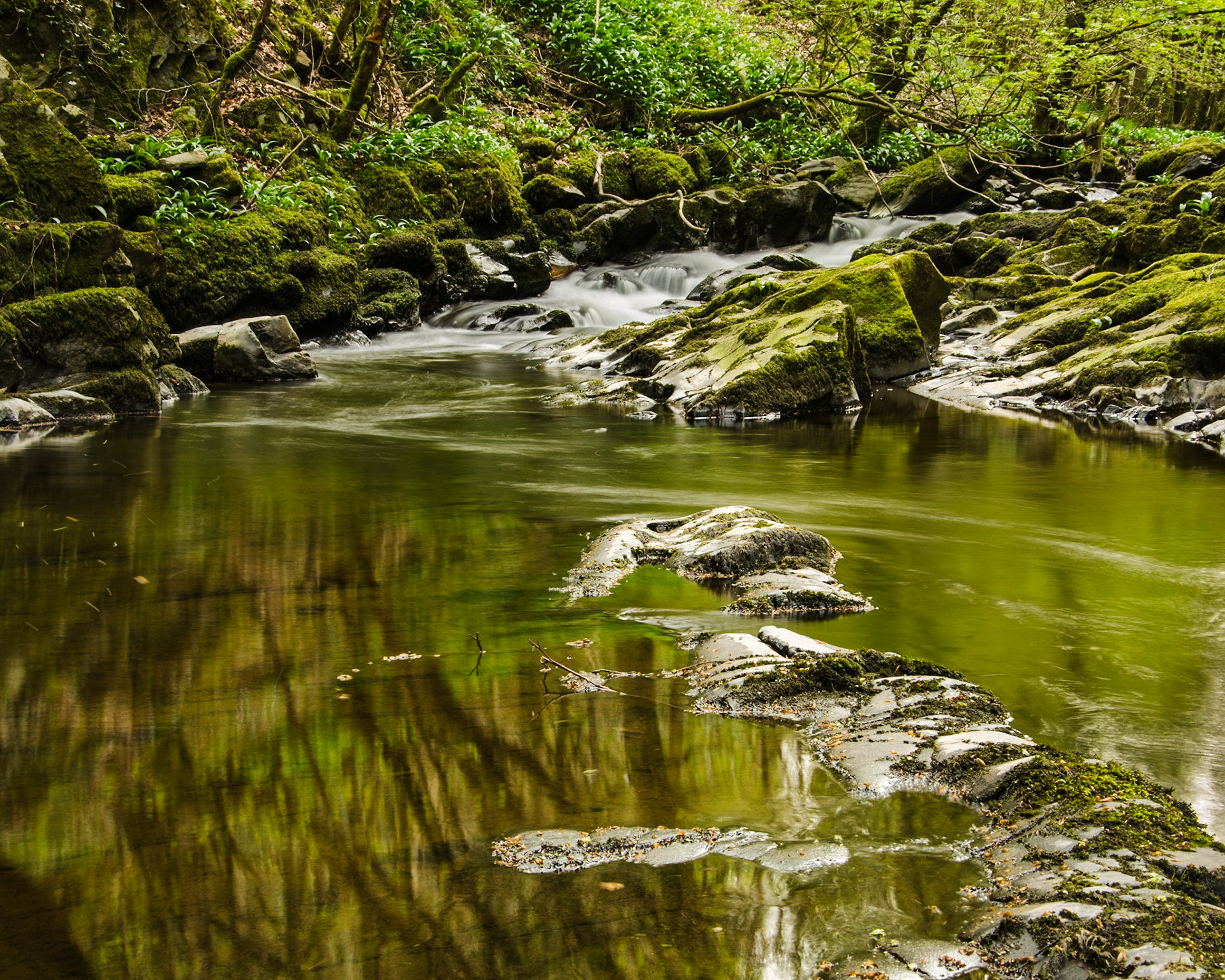 Barbon Beck