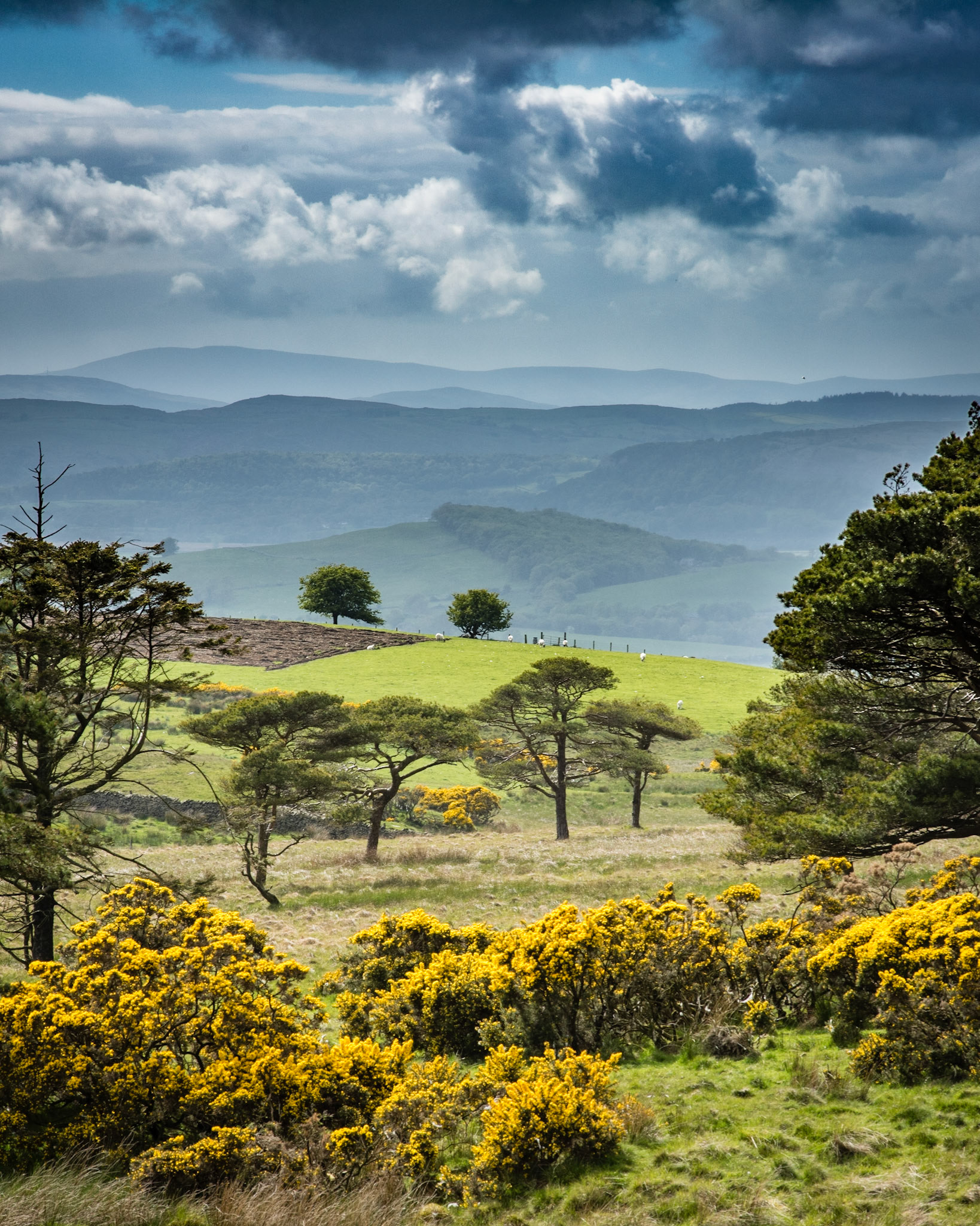 Across the Hills