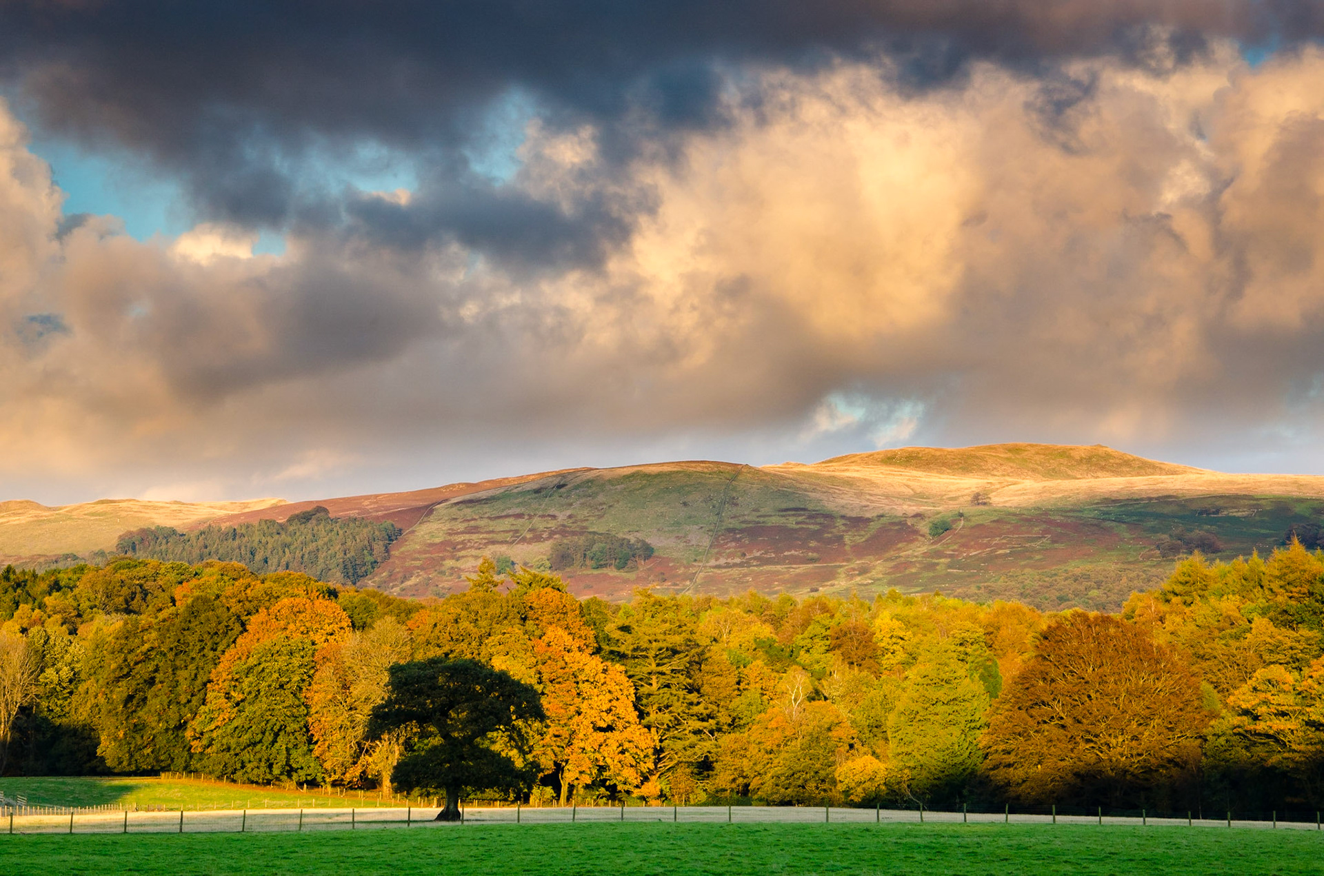 Autumn colours in Lunesdale
