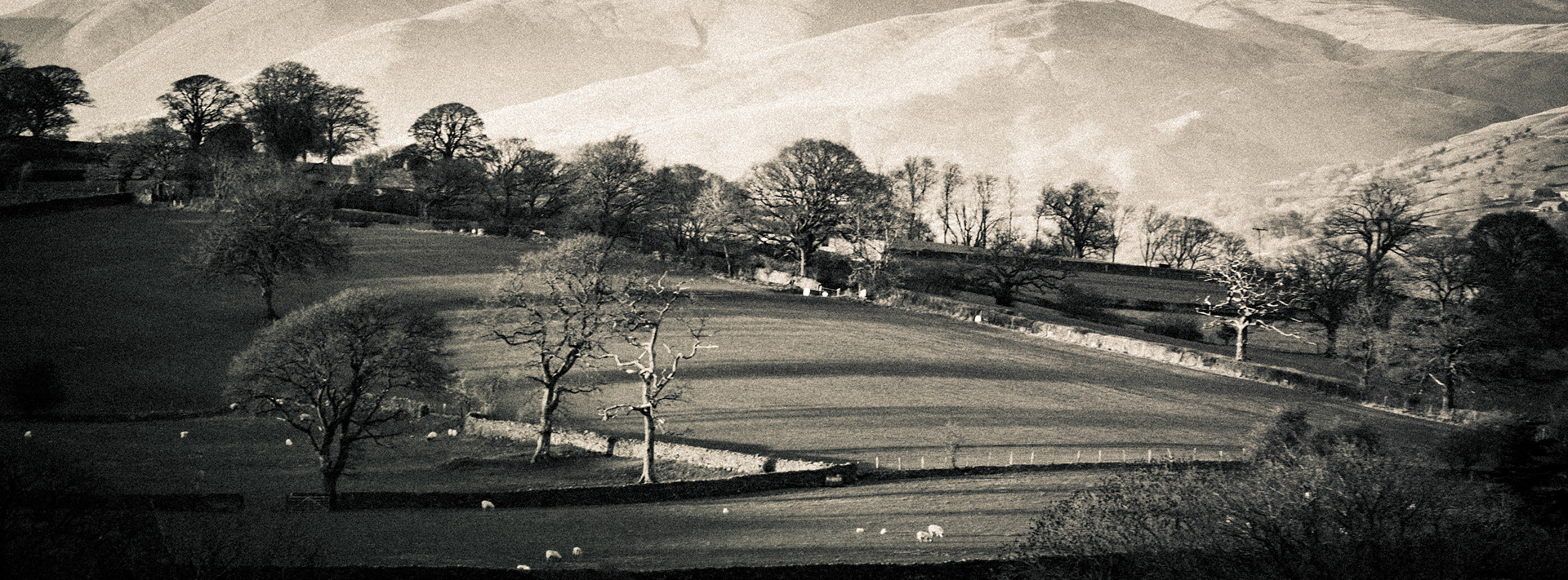 Pastoral Lunesdale