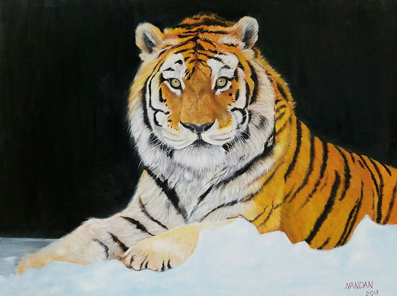 Siberian Tiger