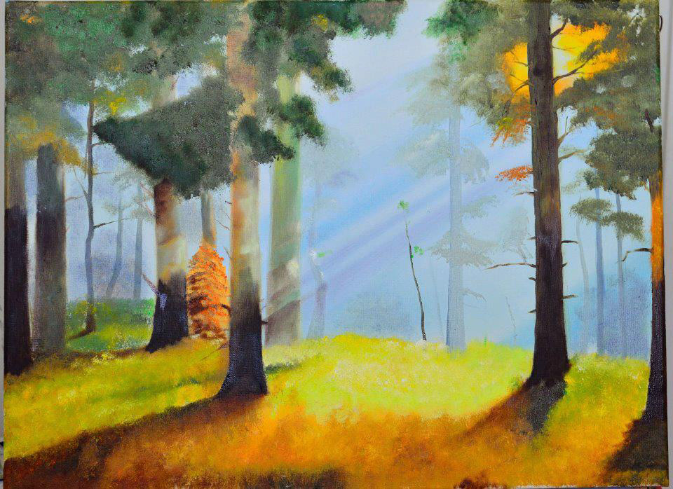 Light through the forest