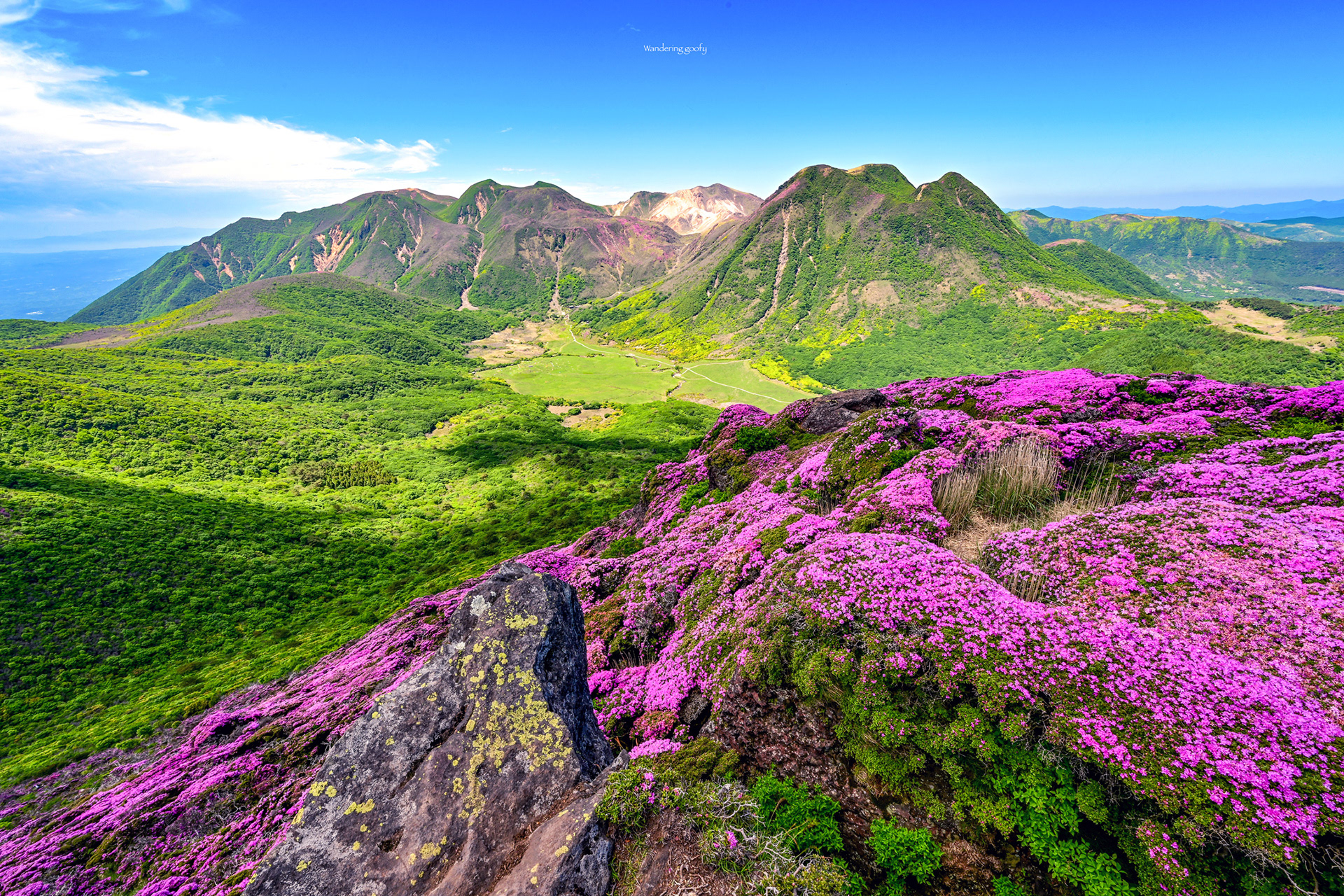 平治岳南峰のミヤマキリシマとくじゅう連山
