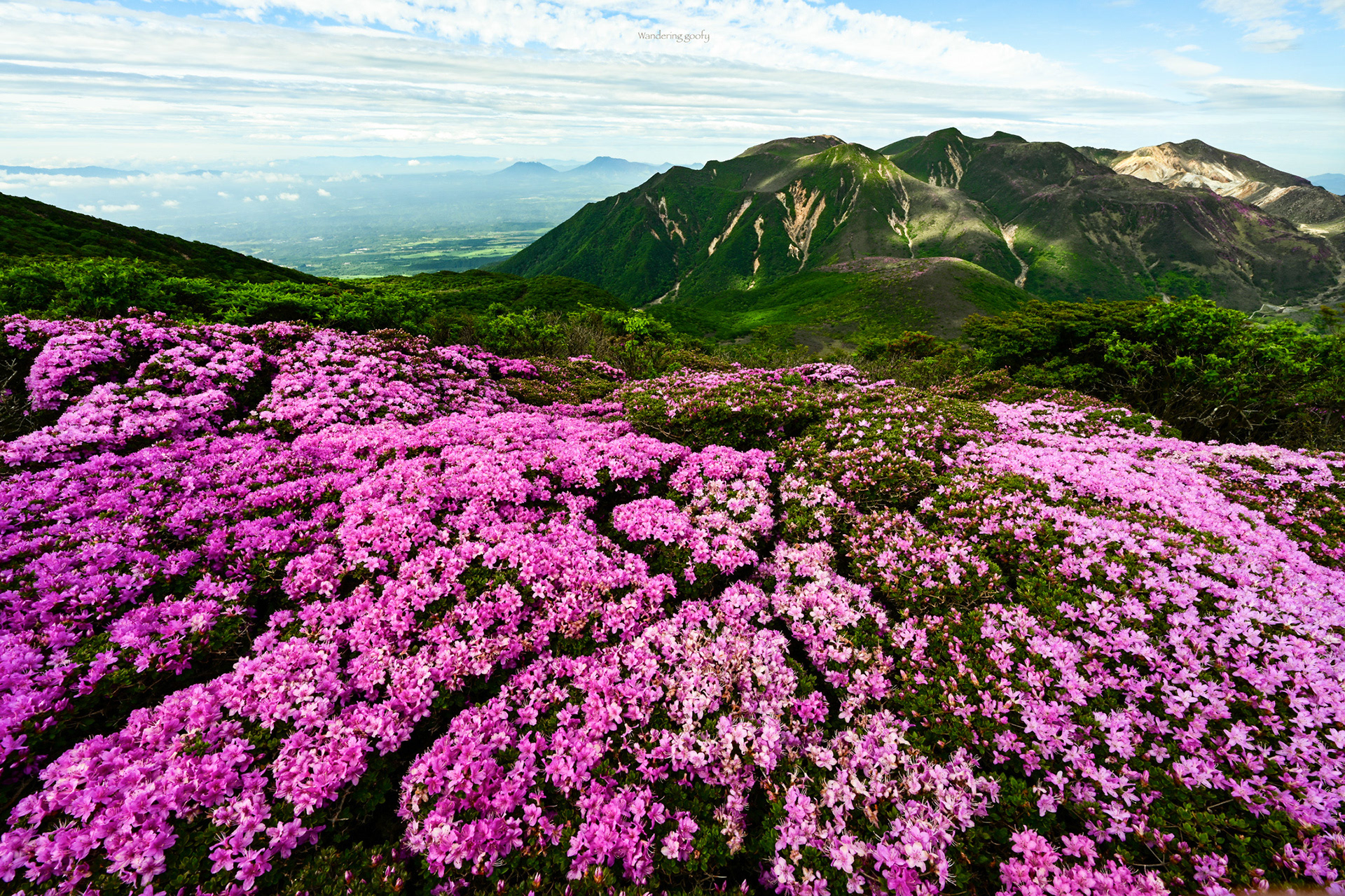 段原からのくじゅう連山、阿蘇五岳