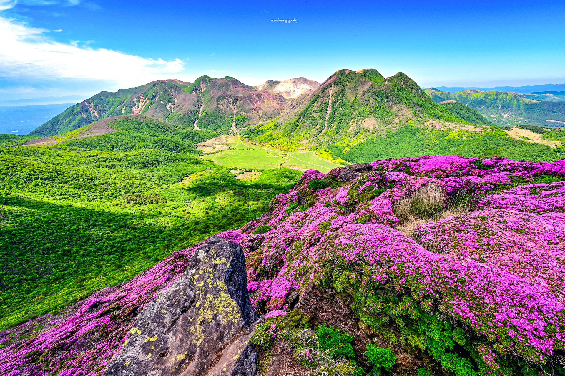 平治岳南峰のミヤマキリシマとくじゅう連山