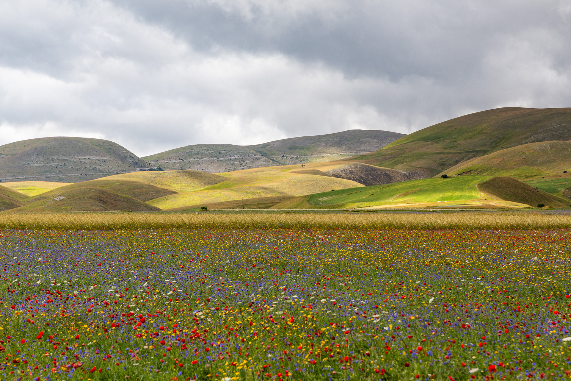 Castelluccio di Norcia