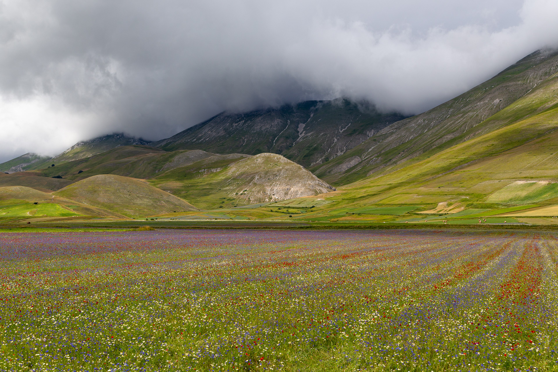 Castelluccio di Norcia