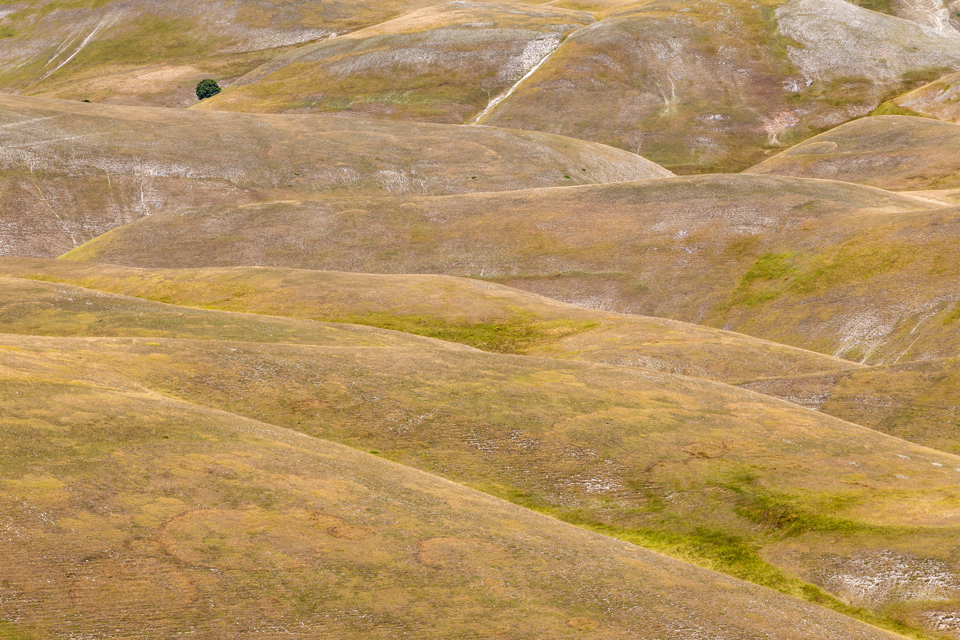 Castelluccio di Norcia