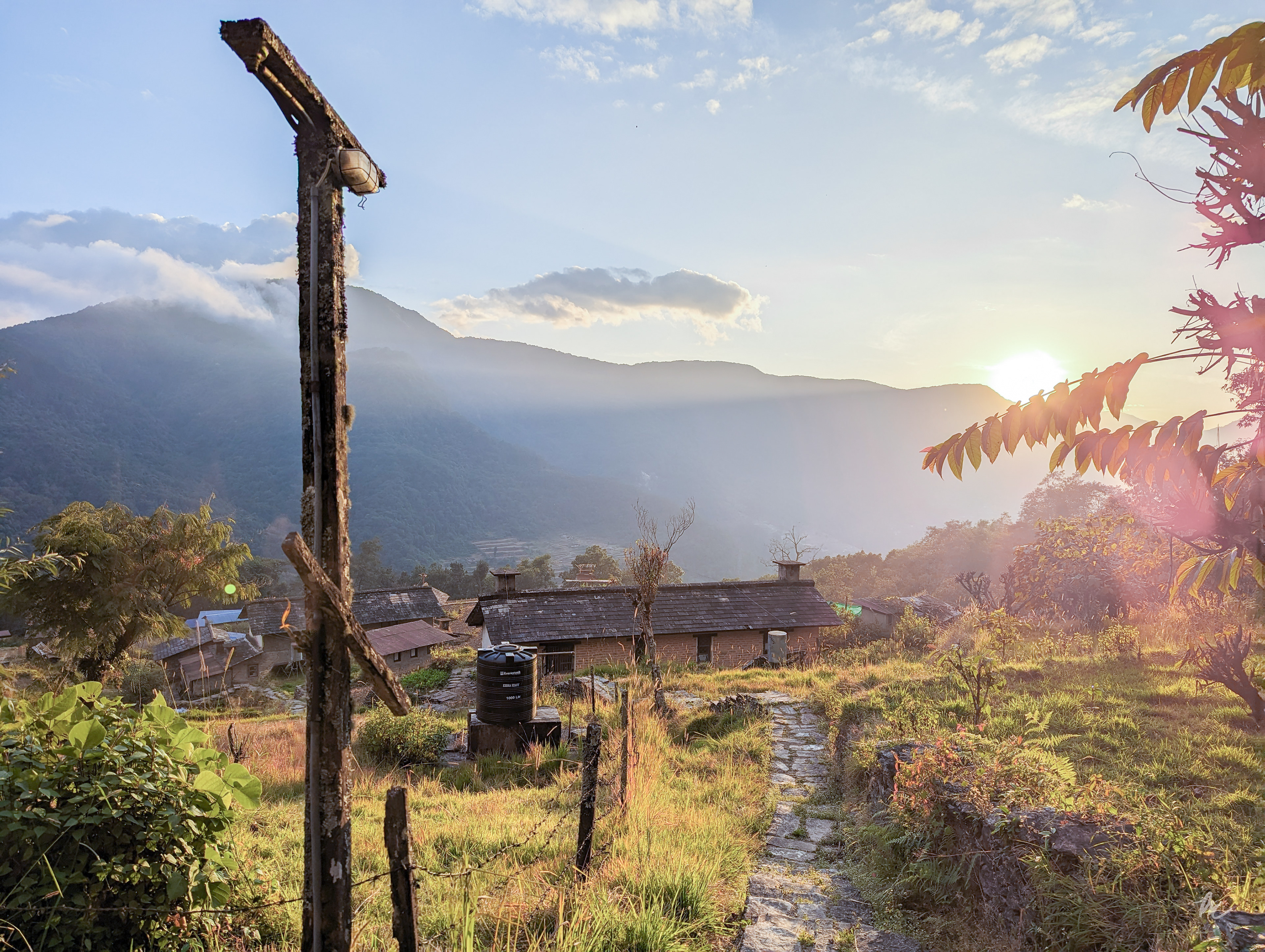 Directorate of Agricultural Research, Pokhara, Lumle, Nepal | 2023